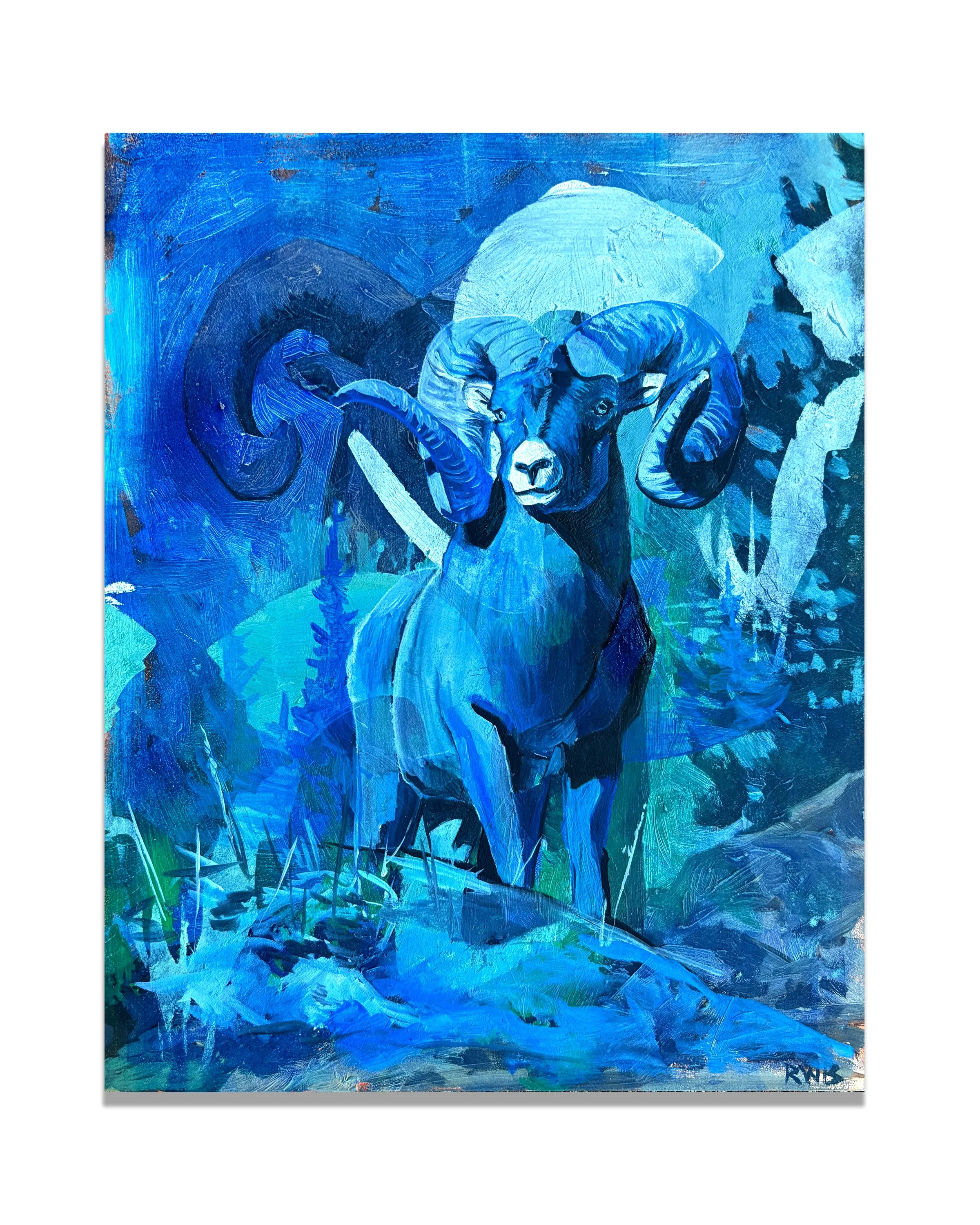 Midnight RAM.jpg