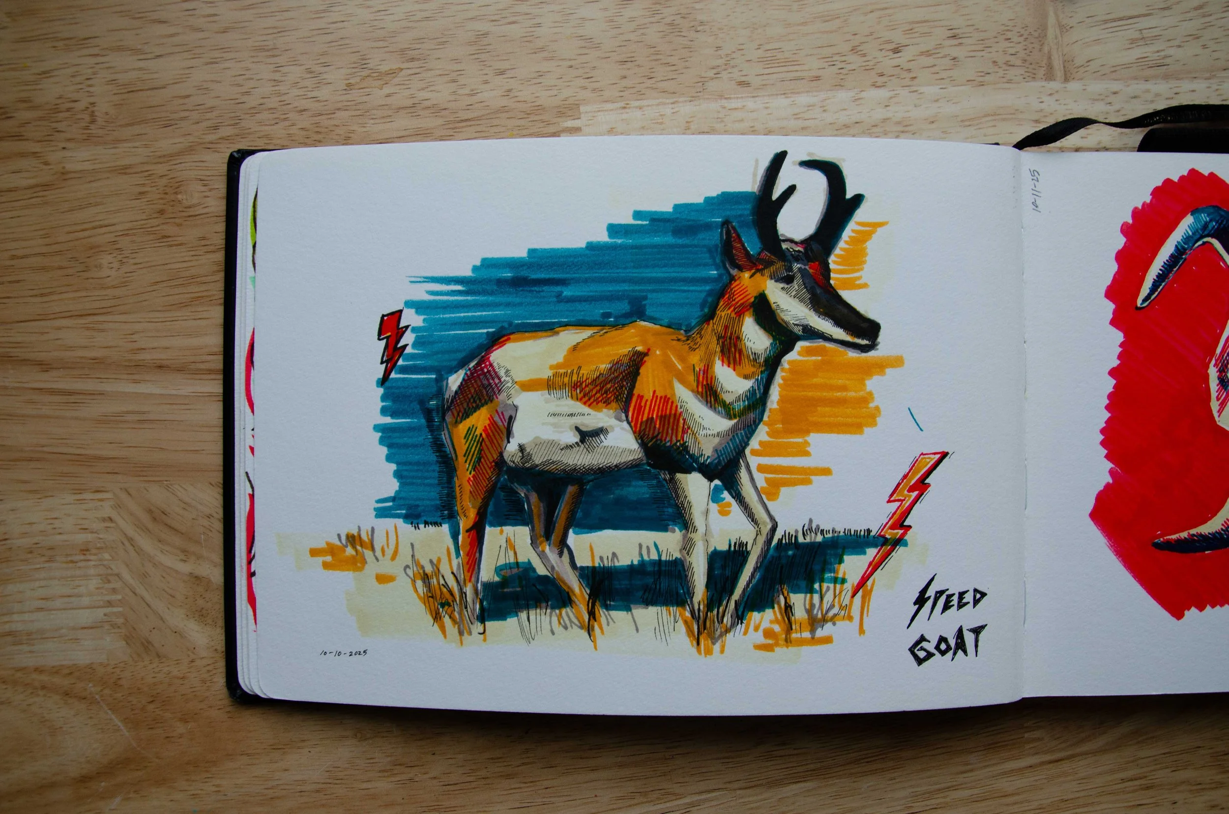 sketchbooka21.jpg
