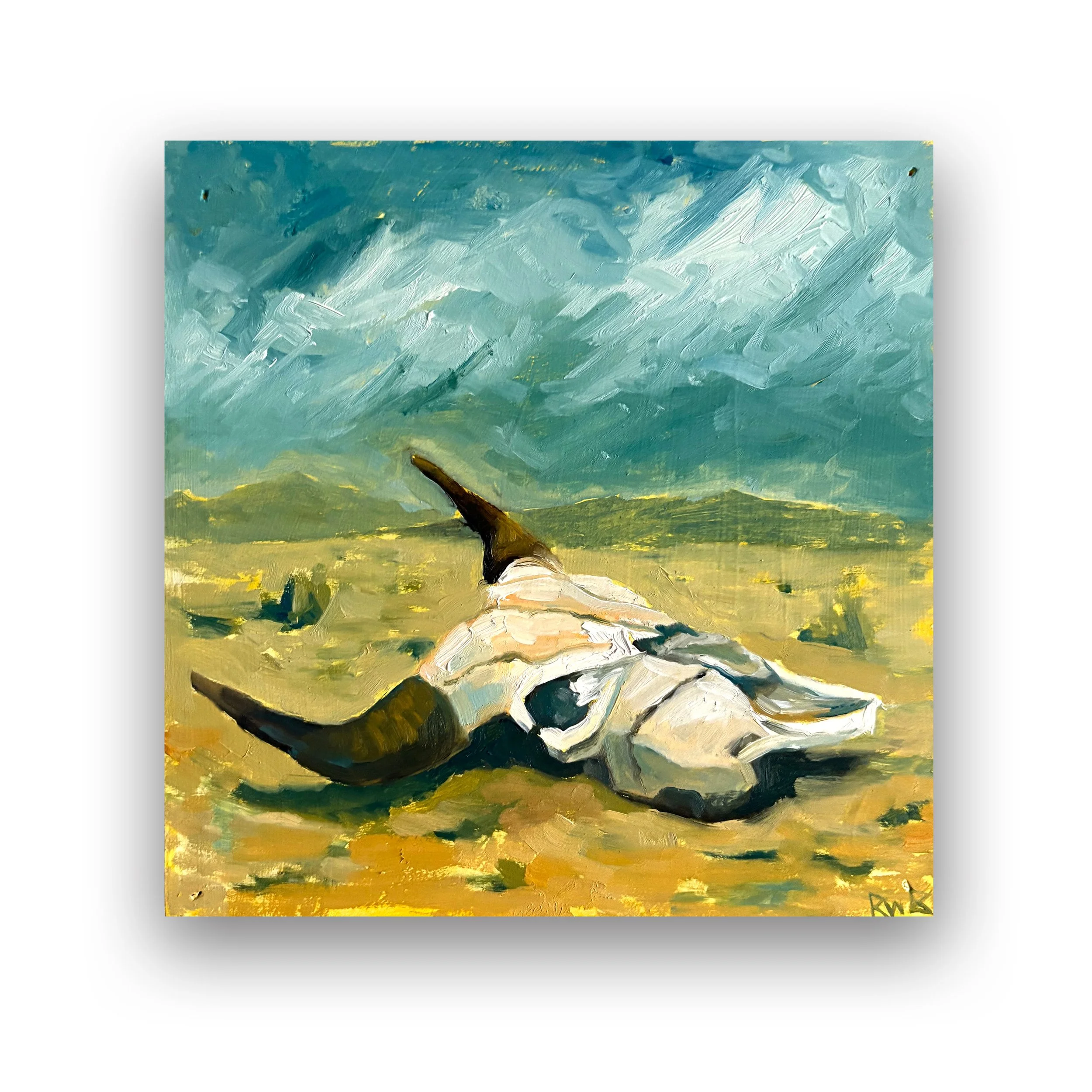 Bison Skull on the Prairie