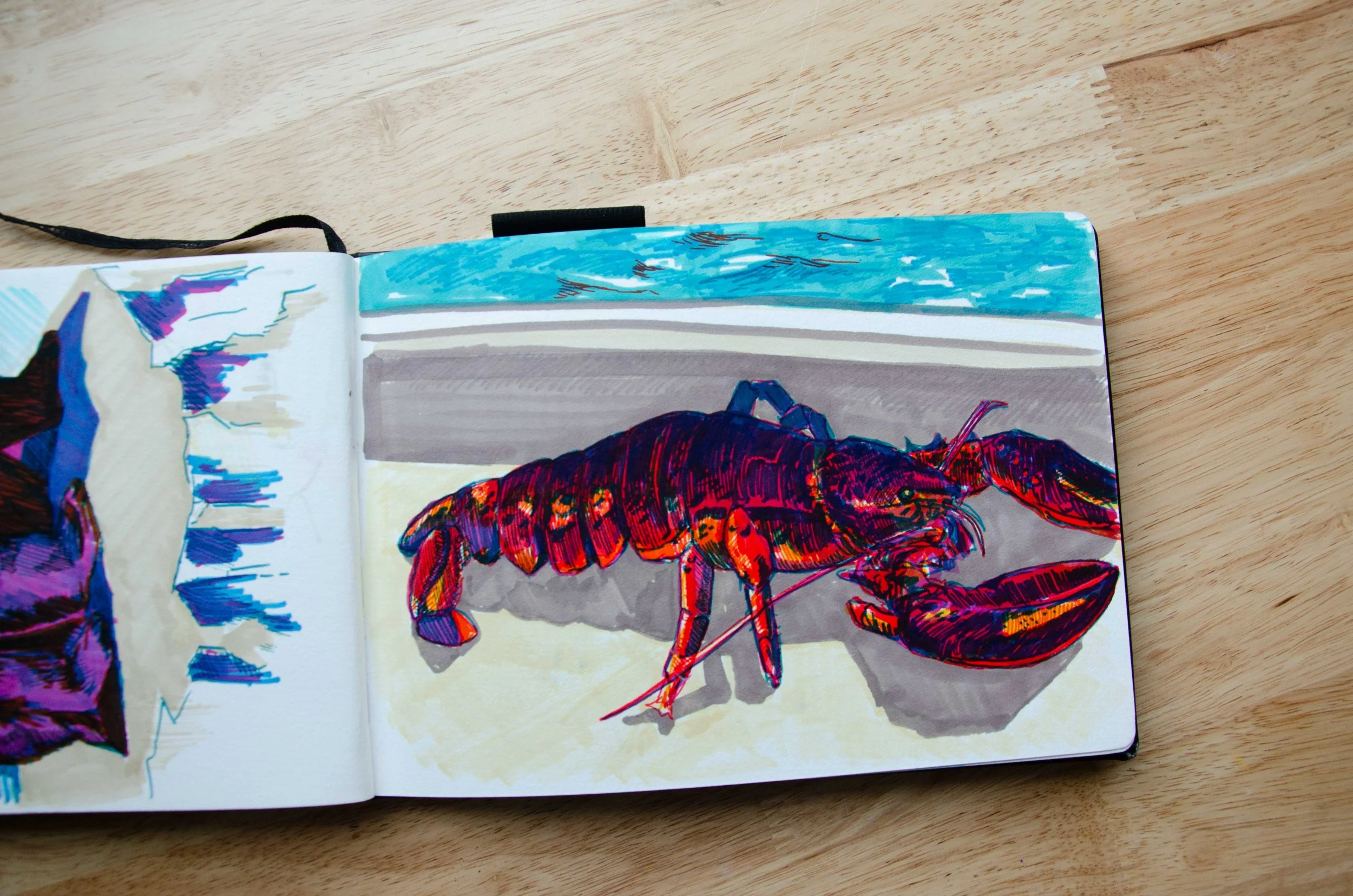 sketchbooka5.jpg