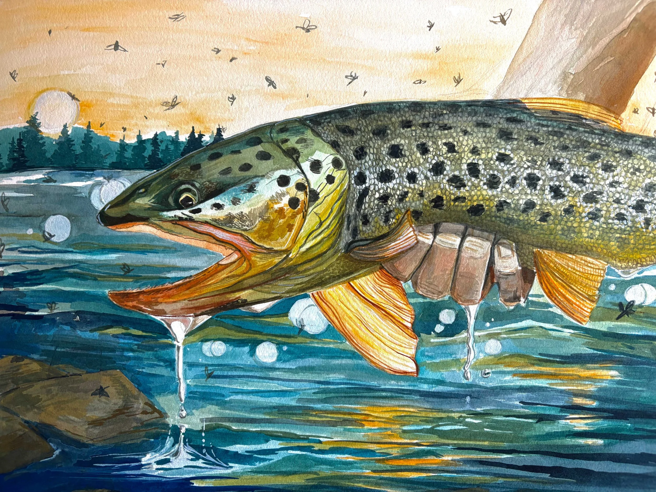 Bauer-Trout Commission- 2026.jpg