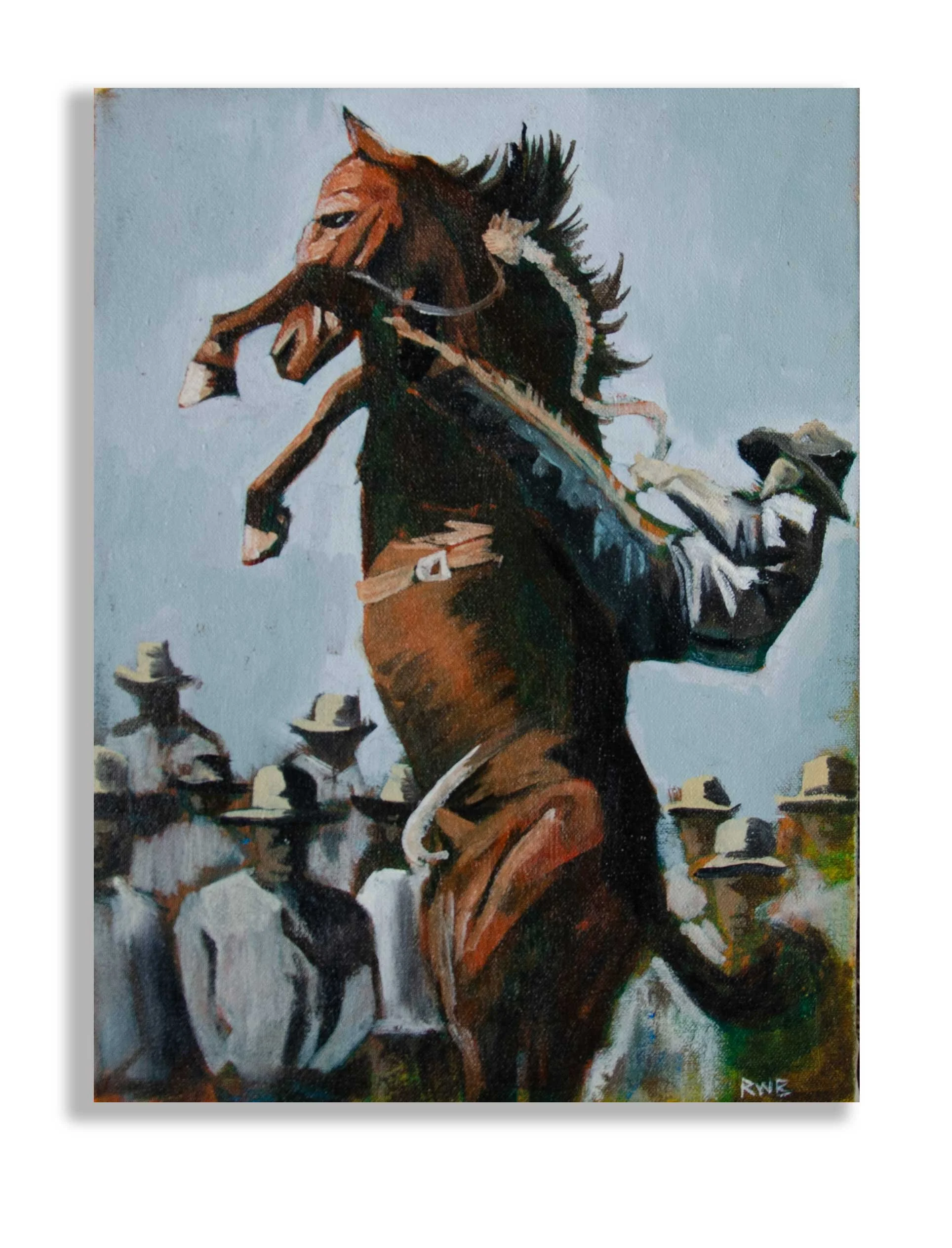 Buckaroo - 2026.jpg