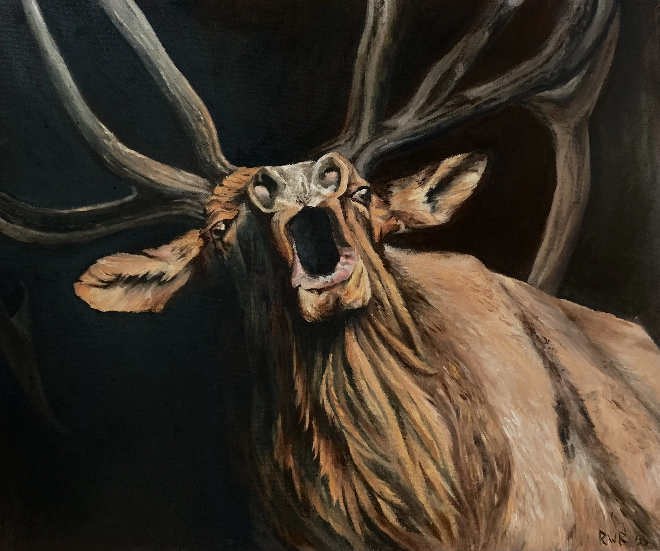 Bugling Bull - 2022.jpeg