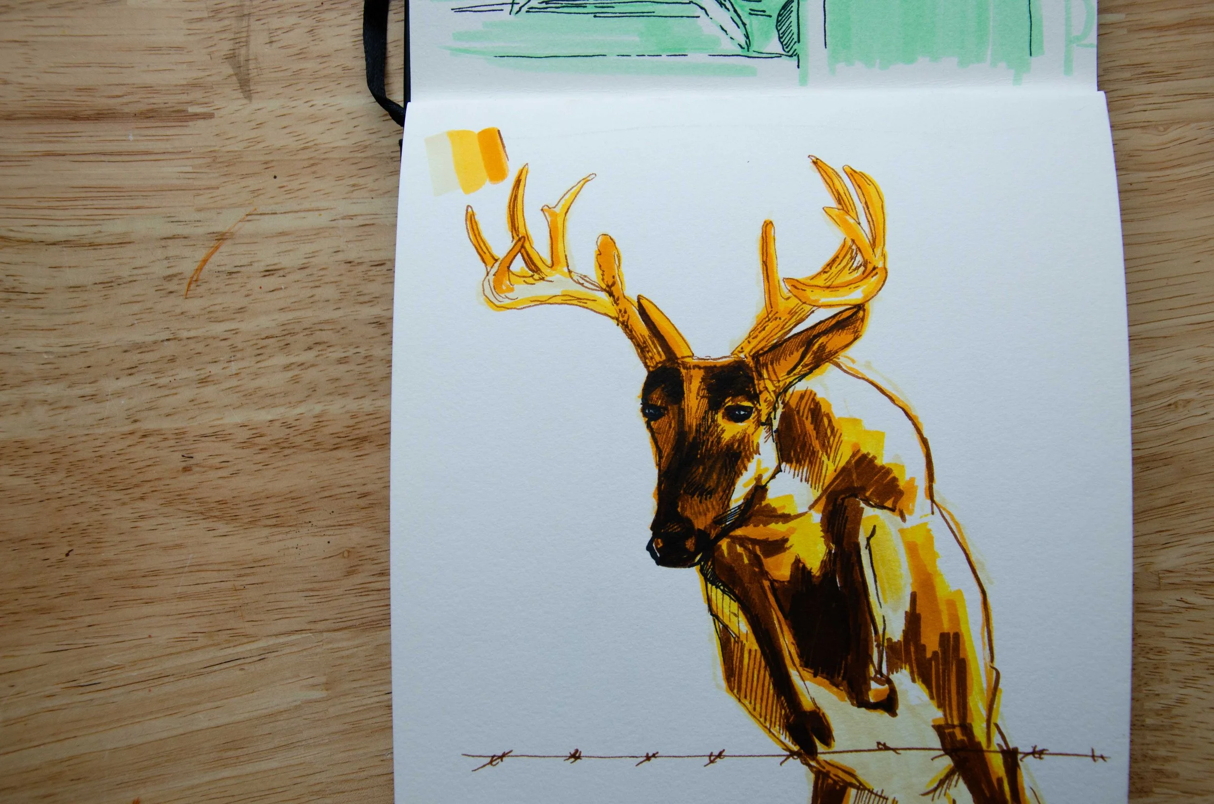 sketchbooka13.jpg