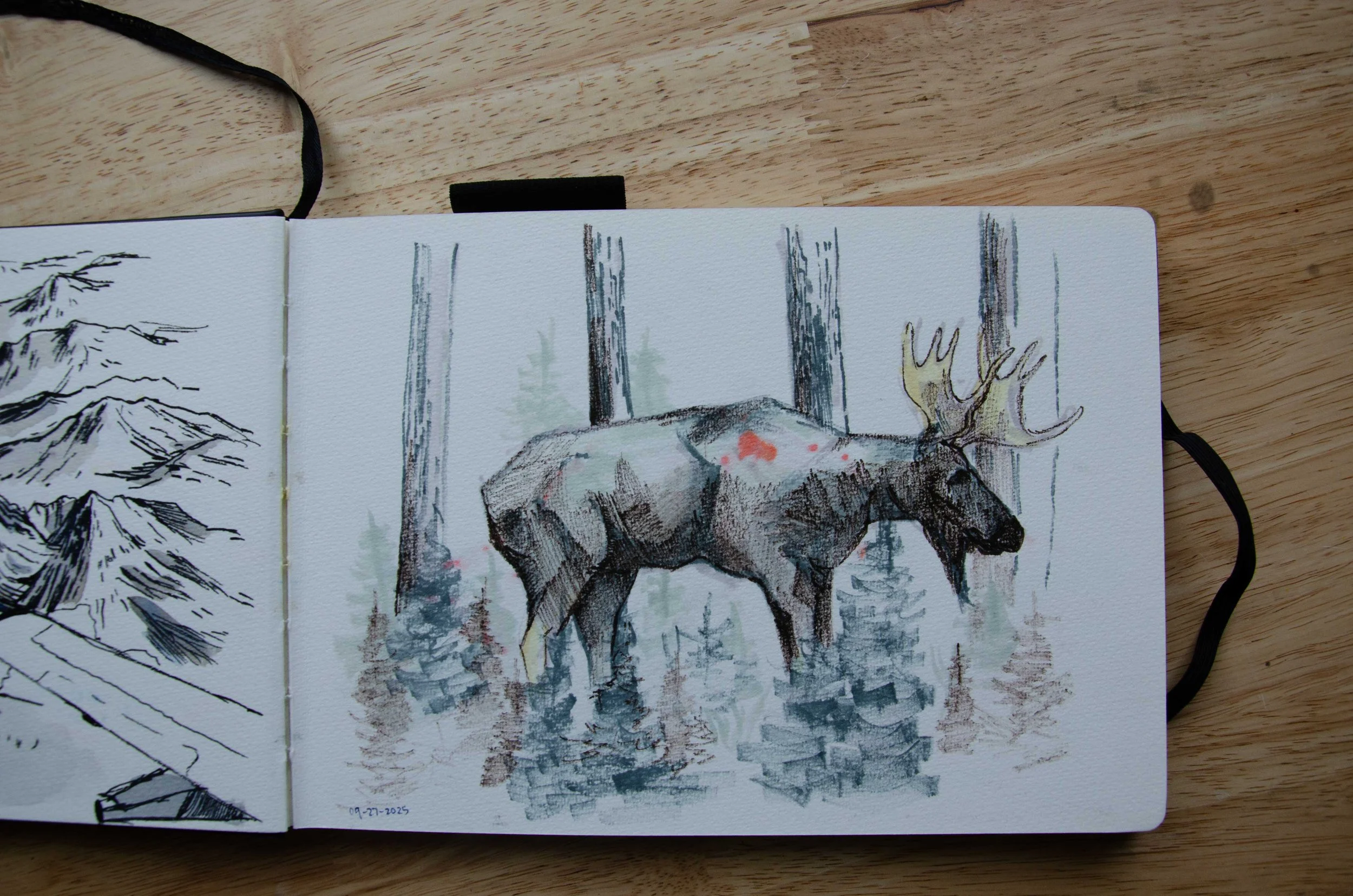 sketchbooka26.jpg