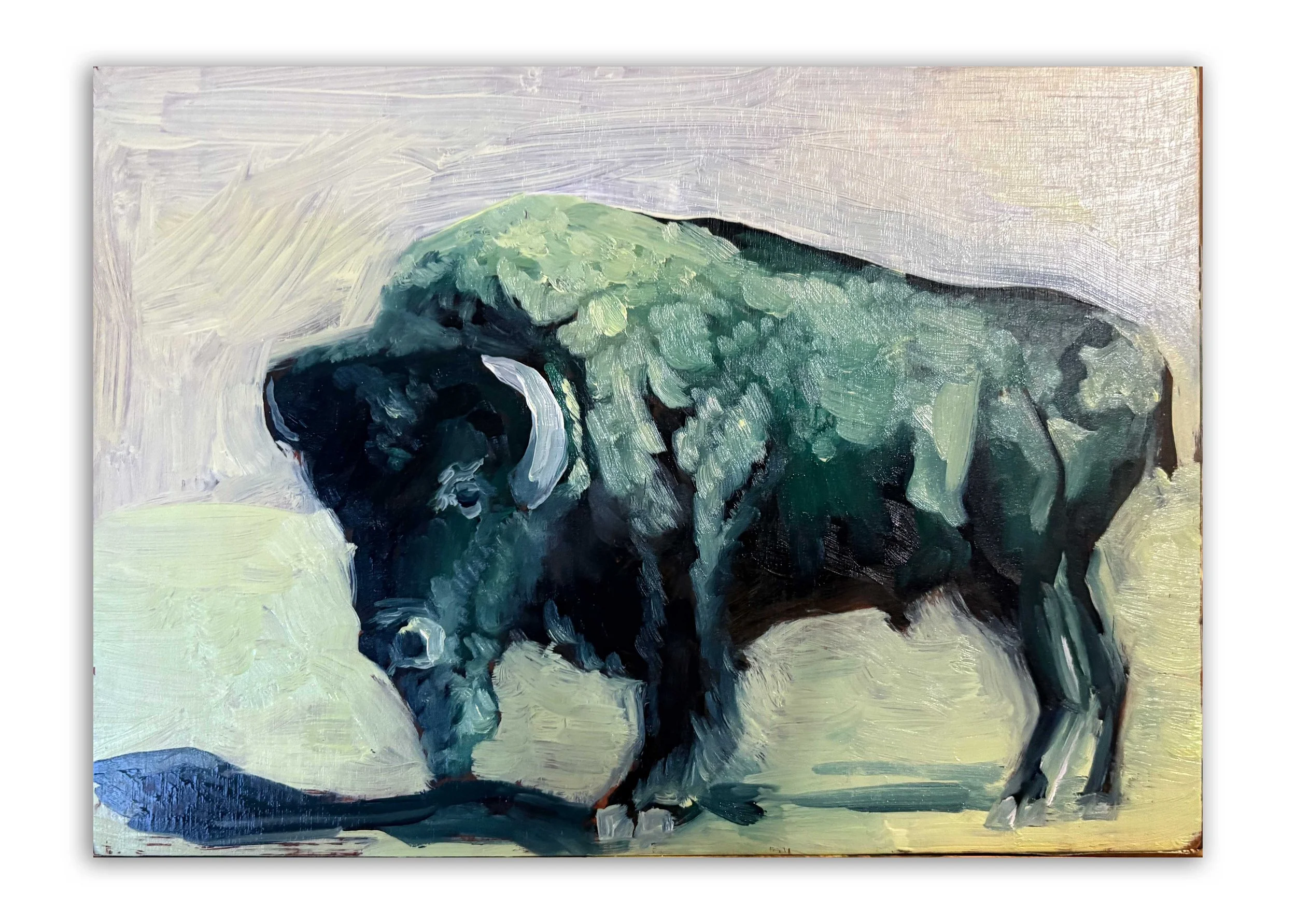 Bison-2025 copy.jpg