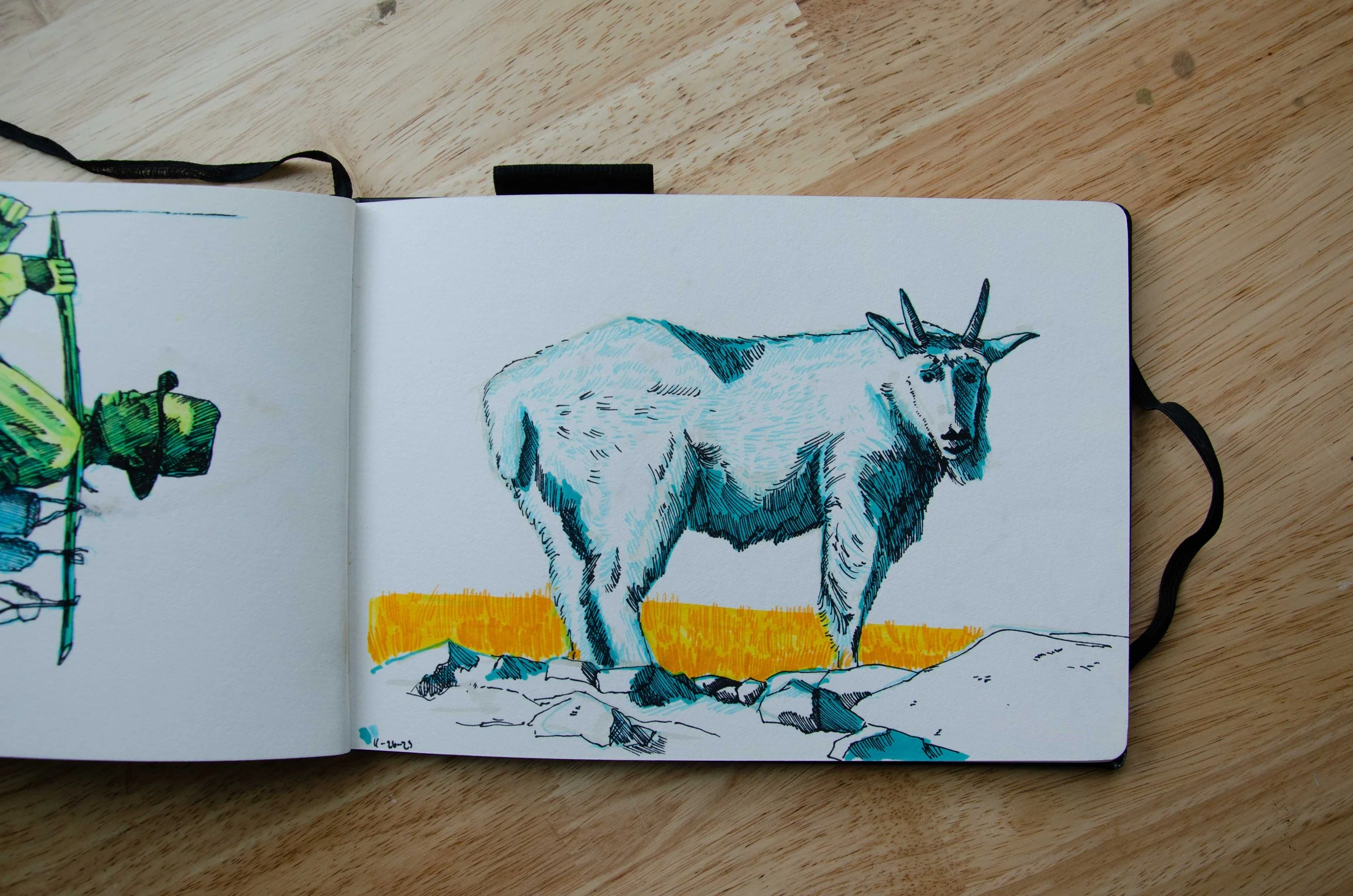 sketchbooka28.jpg