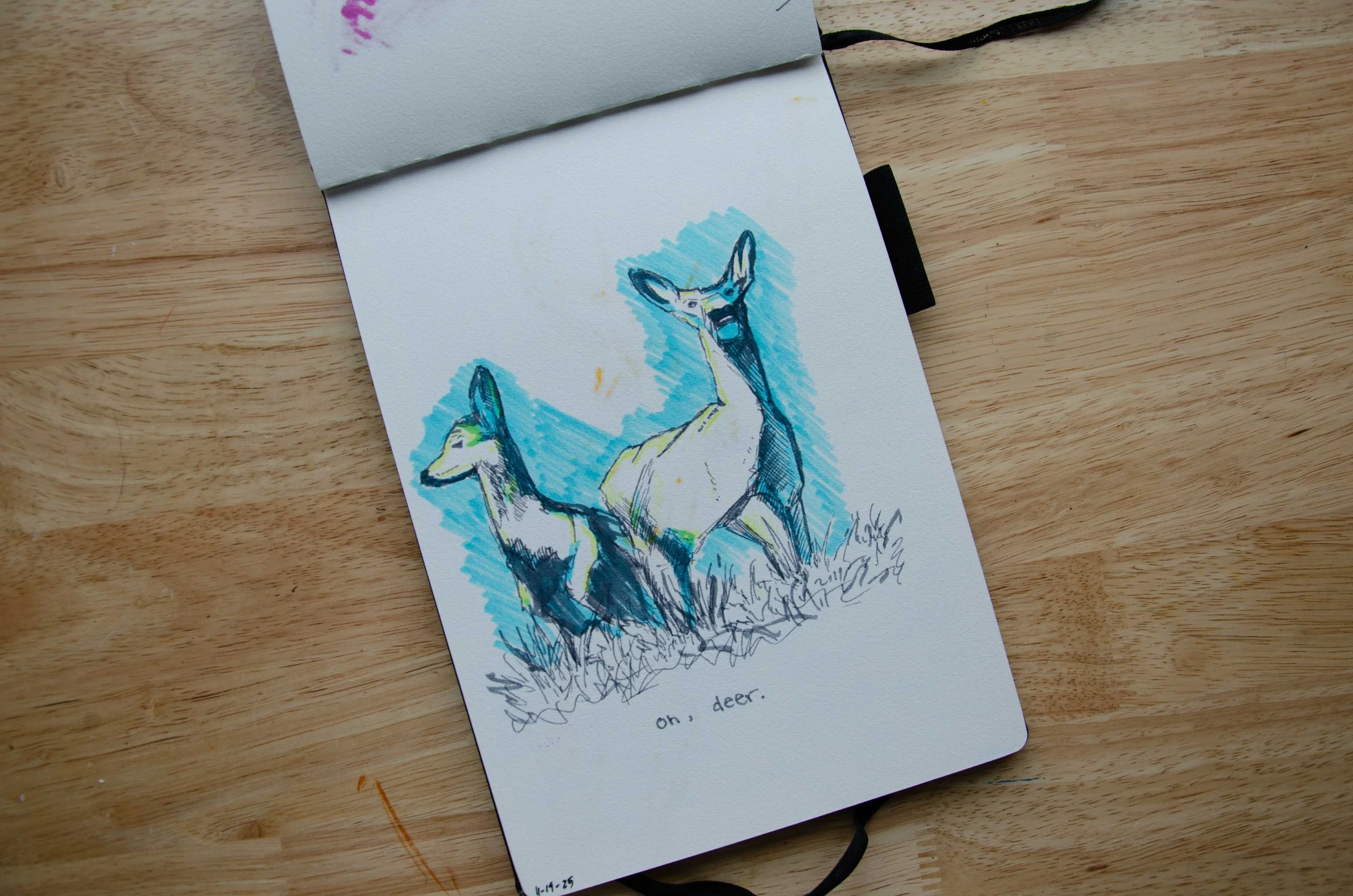 sketchbooka15.jpg