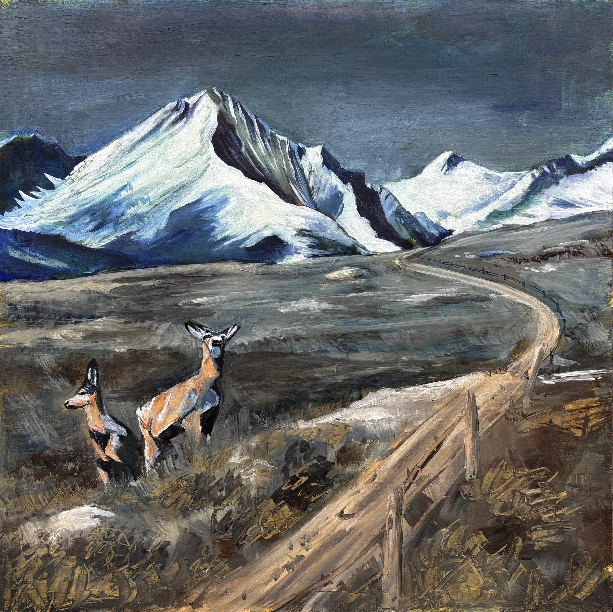 Morning on the Crazies.jpg