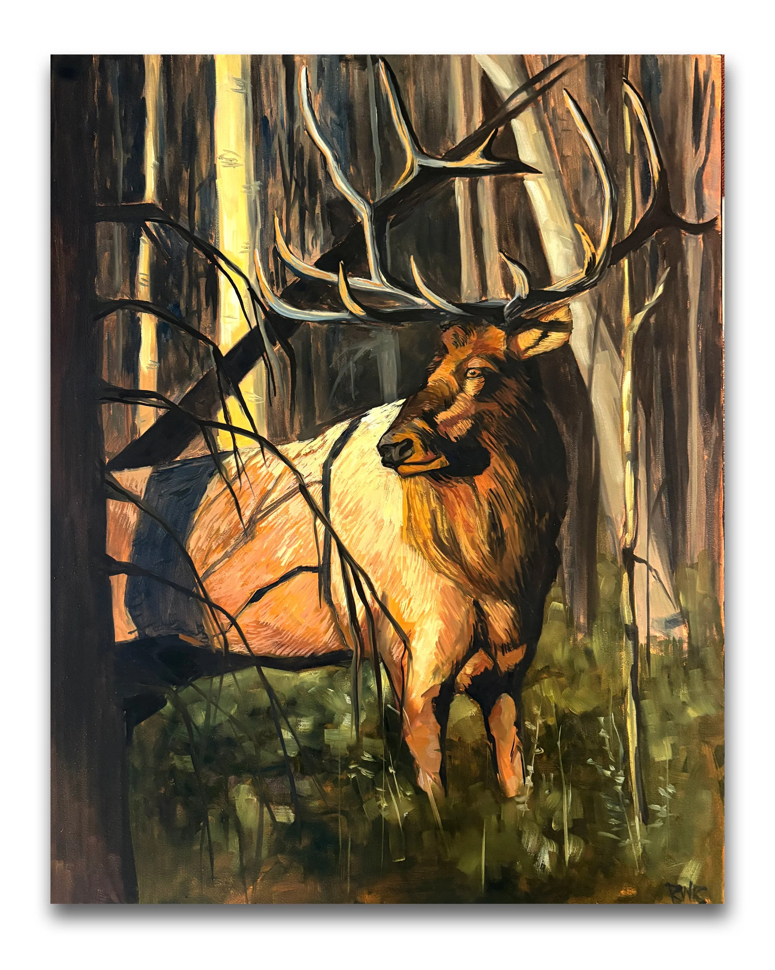 September ELk.jpg
