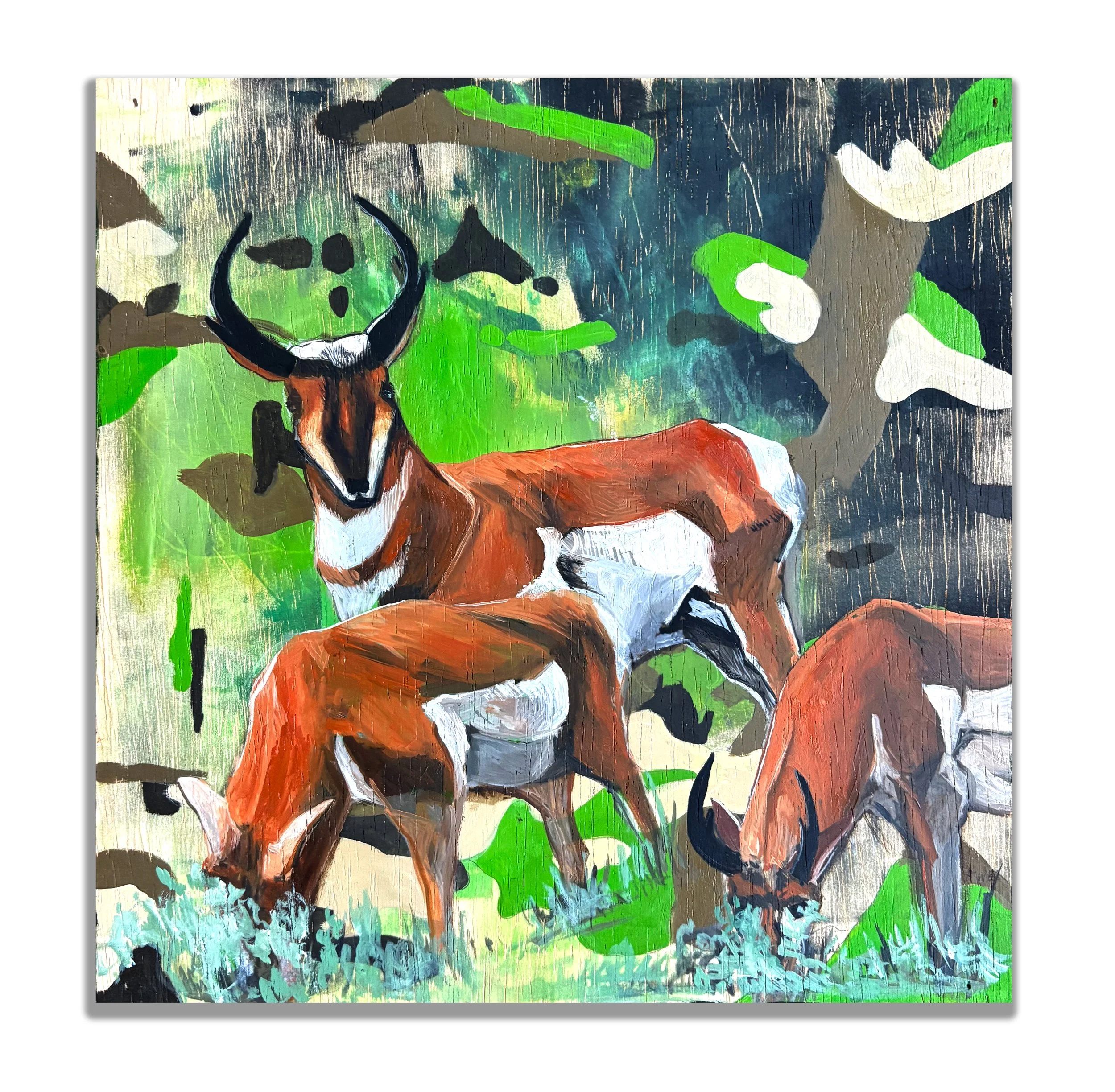 Camo Antelope.jpg