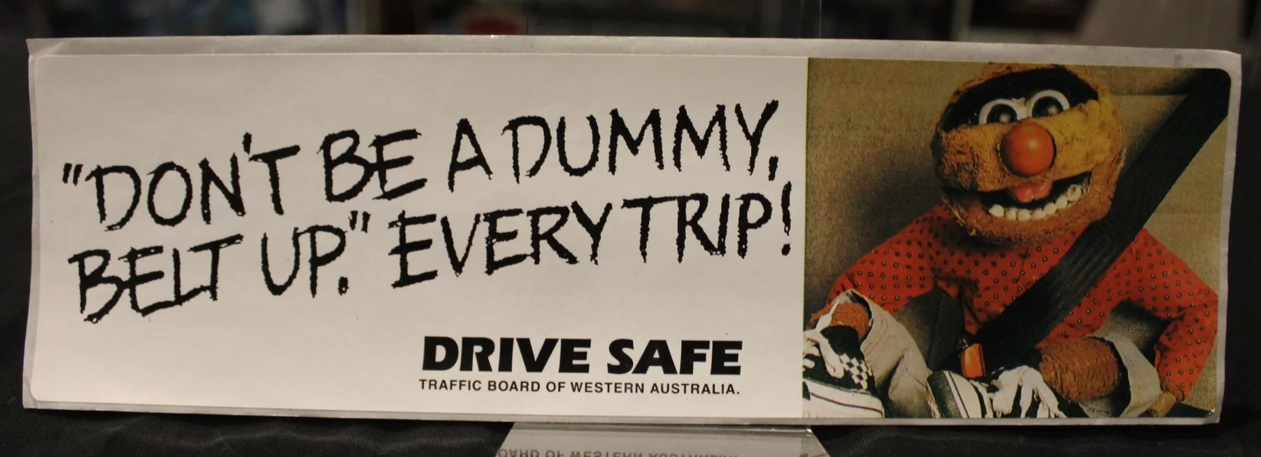 Agro sticker dont be a dummy.JPG