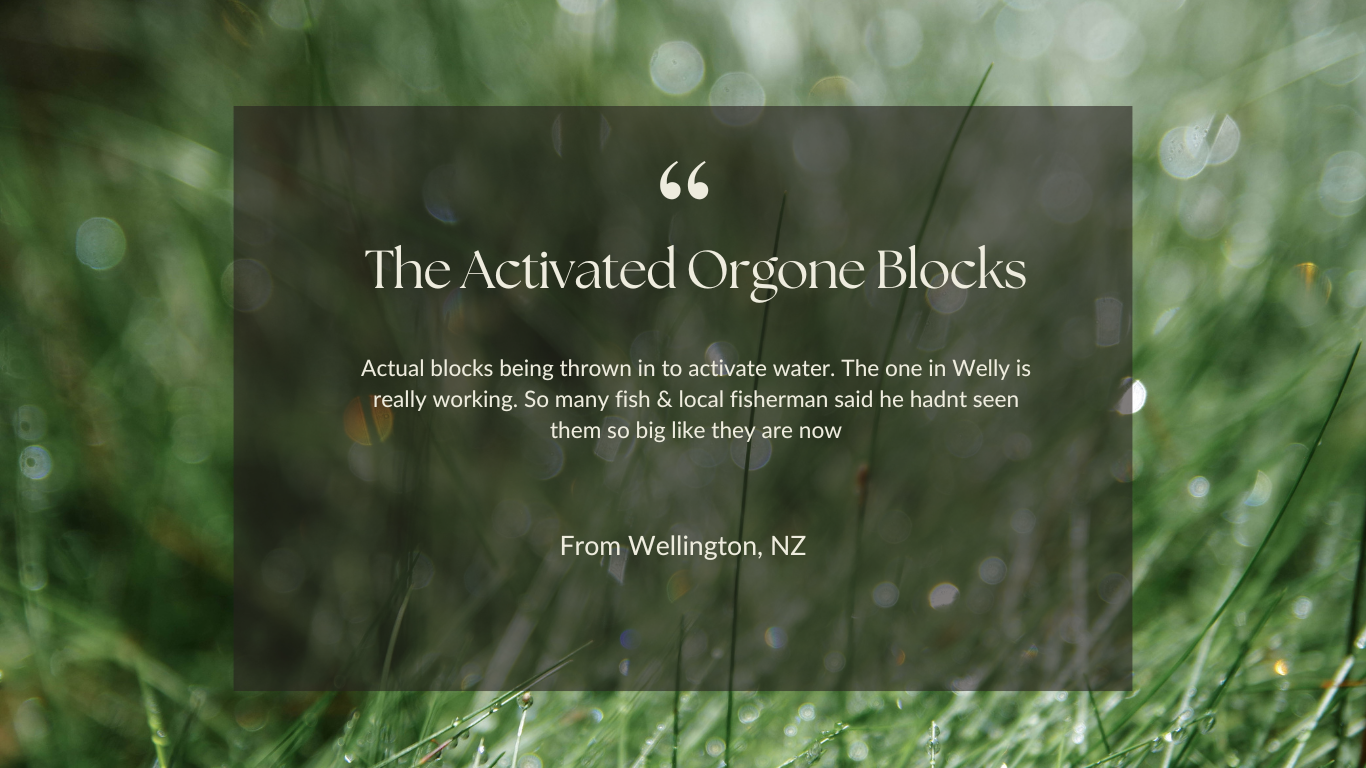 Testimony  about water activation blocks from Wellington, NZ.