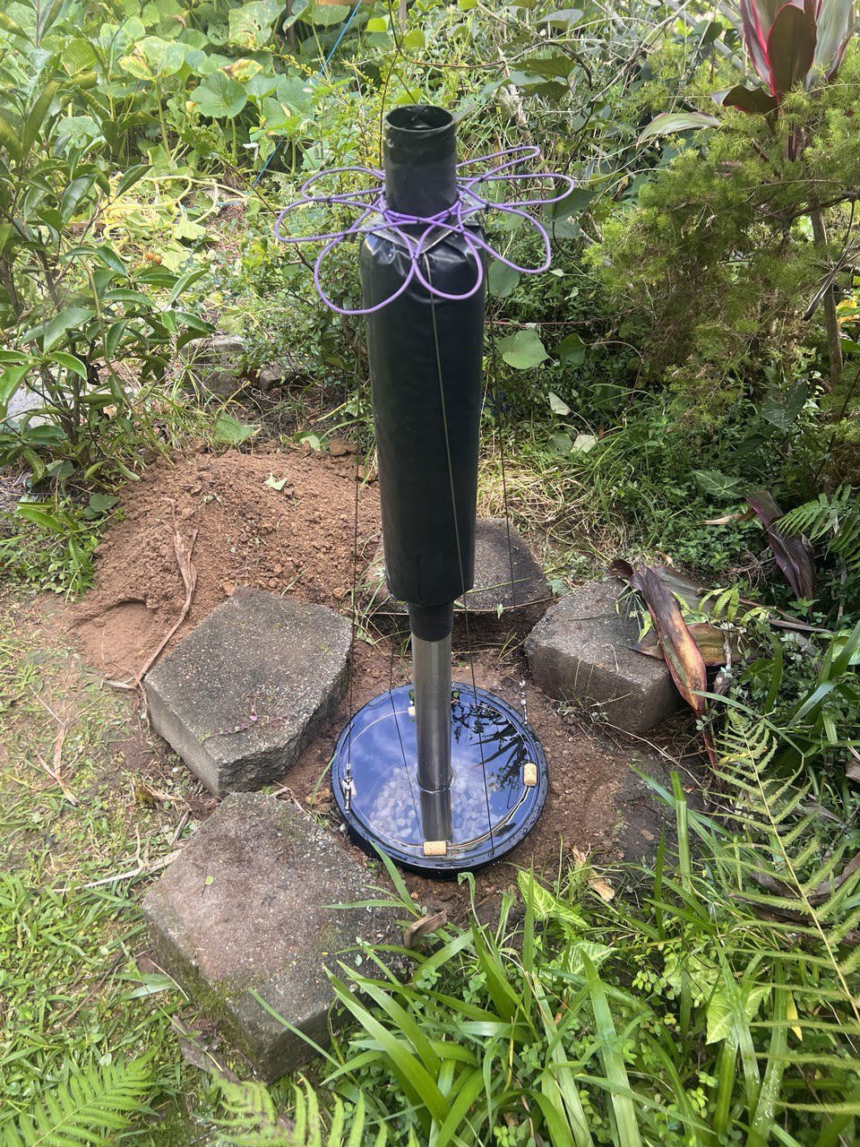 nature harmony station 2.0.jpeg