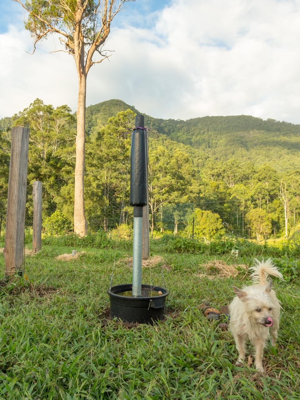 nature harmony station 2.0 installed.jpeg