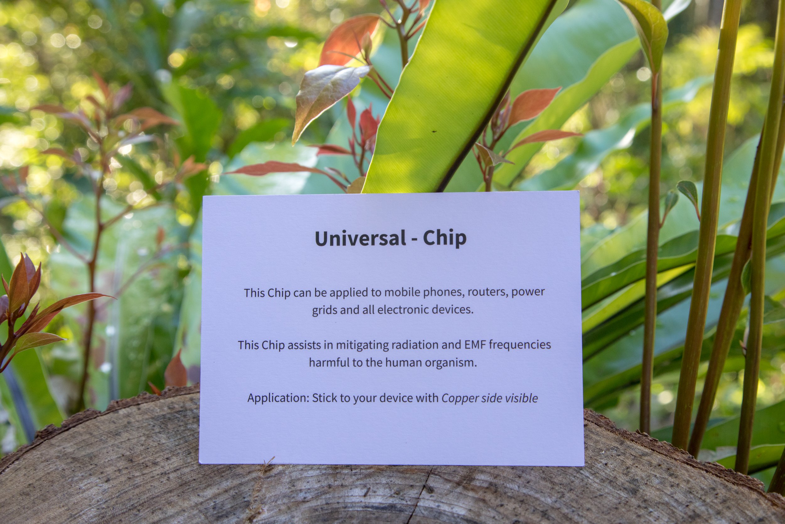 Universal Chip EMF Harmonise Back.jpg