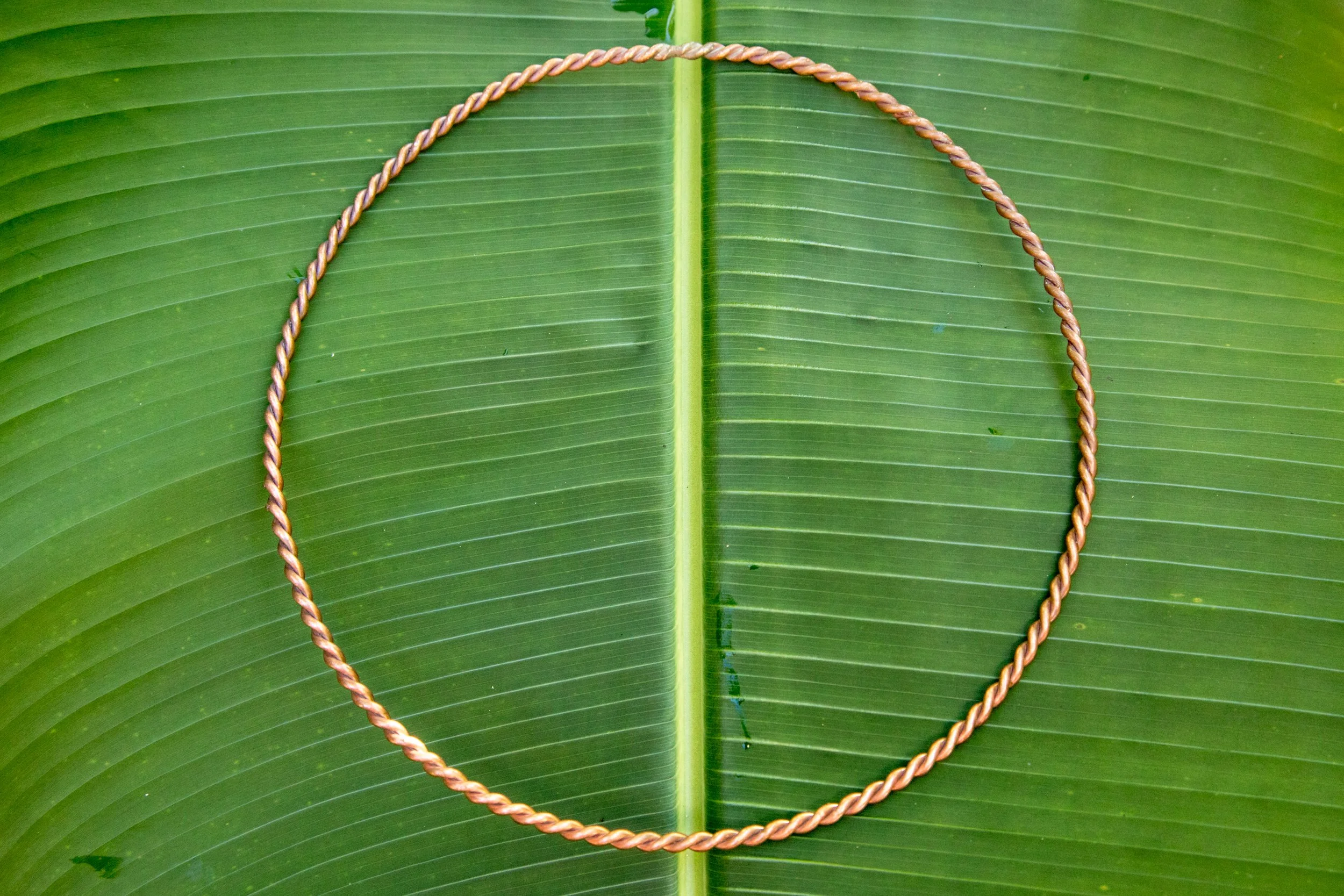 Tensor Ring Mediup.jpg