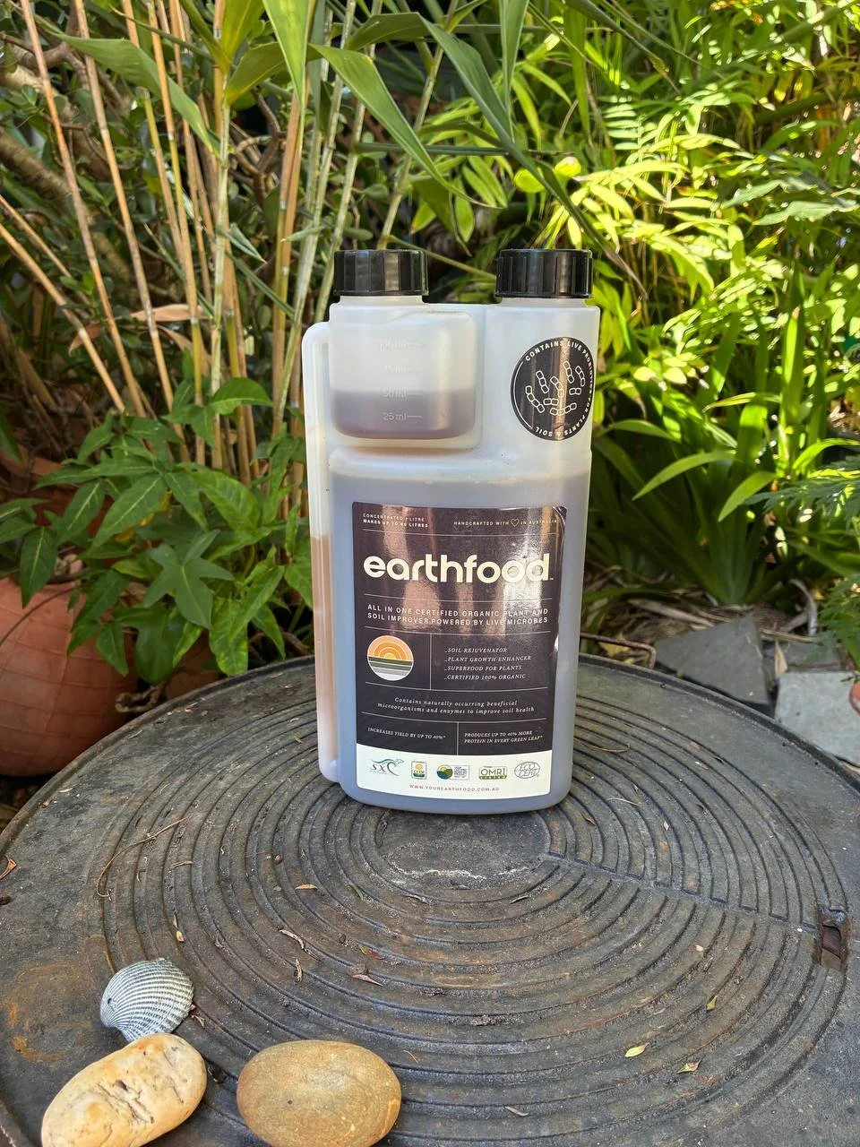 A clear plastic container of Earthfood organic compost tea on top of a tree stump with a seashell and a stone, surrounded by green plants and bamboo in the background.