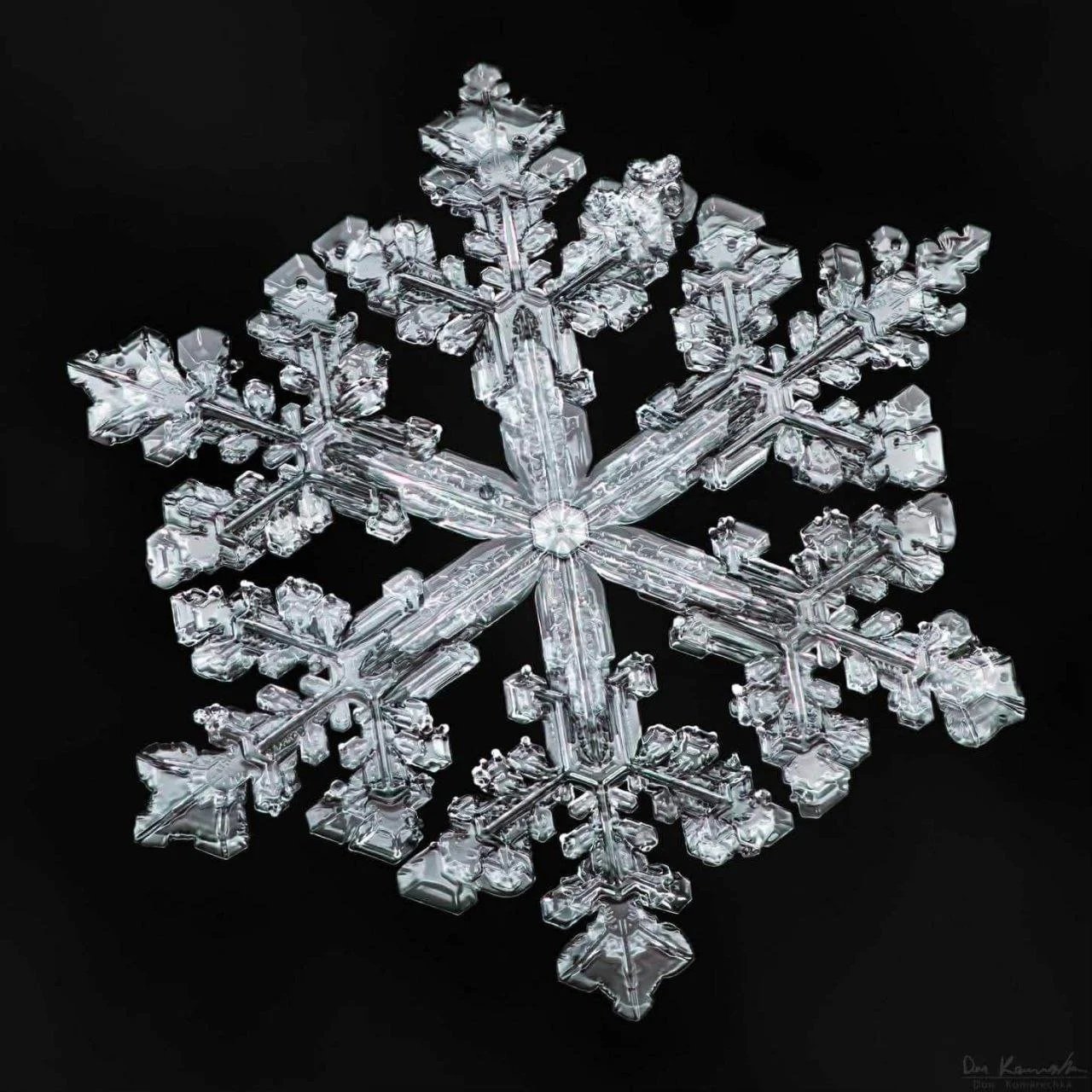 A detailed close-up of a clear, water molecule against a black background.