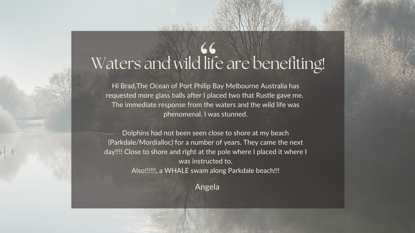 Text overlay on a nature scene with trees and water: "Waters and wildlife are benefiting! Hi Brad, The Ocean of Port Philip Bay Melbourne Australia has requested more glass balls after I placed two that Rustle gave me. The immediate response from the waters and the wildlife was phenomenal. I was stunned. Dolphins had not been seen close to shore at my beach (Parkdale/Mordialloc) for a number of years. They came the next day!!!! Close to shore and right at the pole where I placed it where I was instructed to. Also!!!!, a whale swam along Parkdale beach!!! Angela