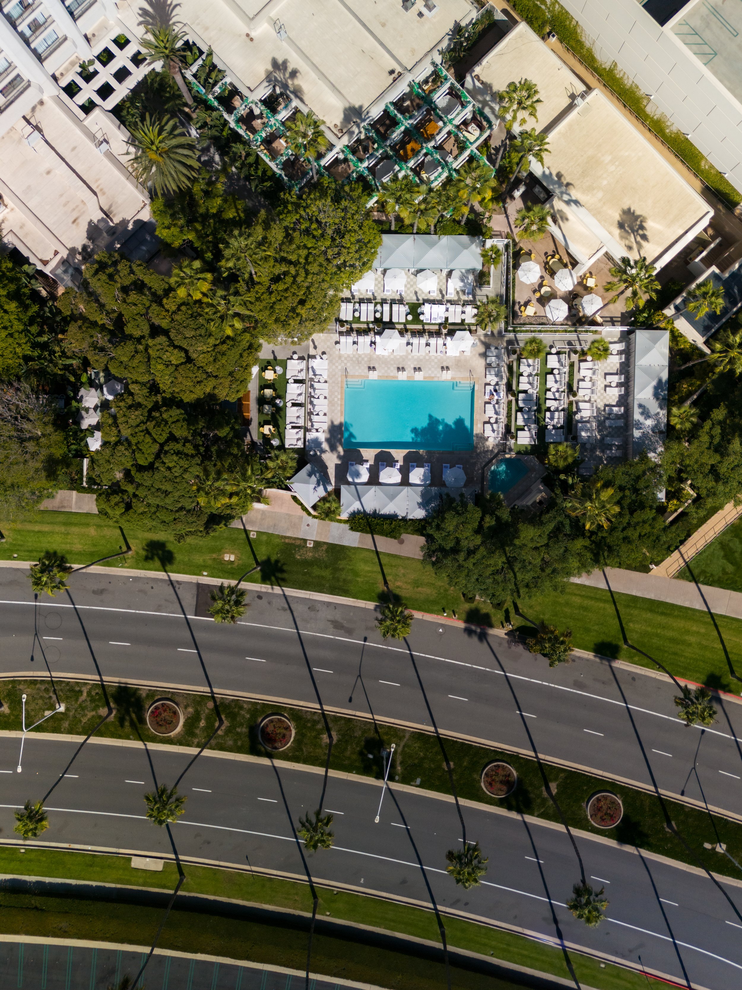 An aerial view of a swimming pool area surrounded by lounge chairs, umbrellas, palm trees, and lush greenery, with a road and sidewalk in the foreground.