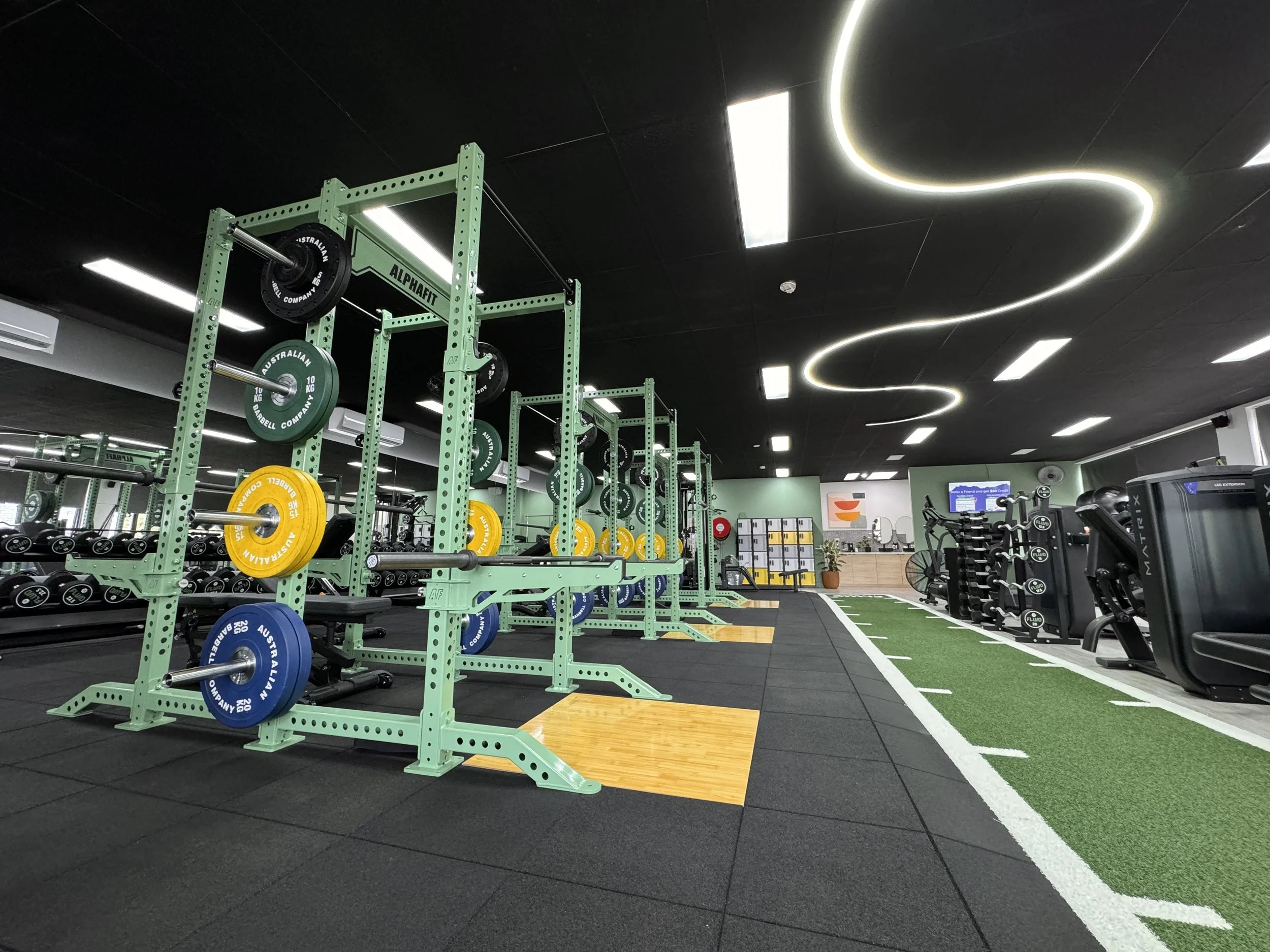 Gym Free Weights Area