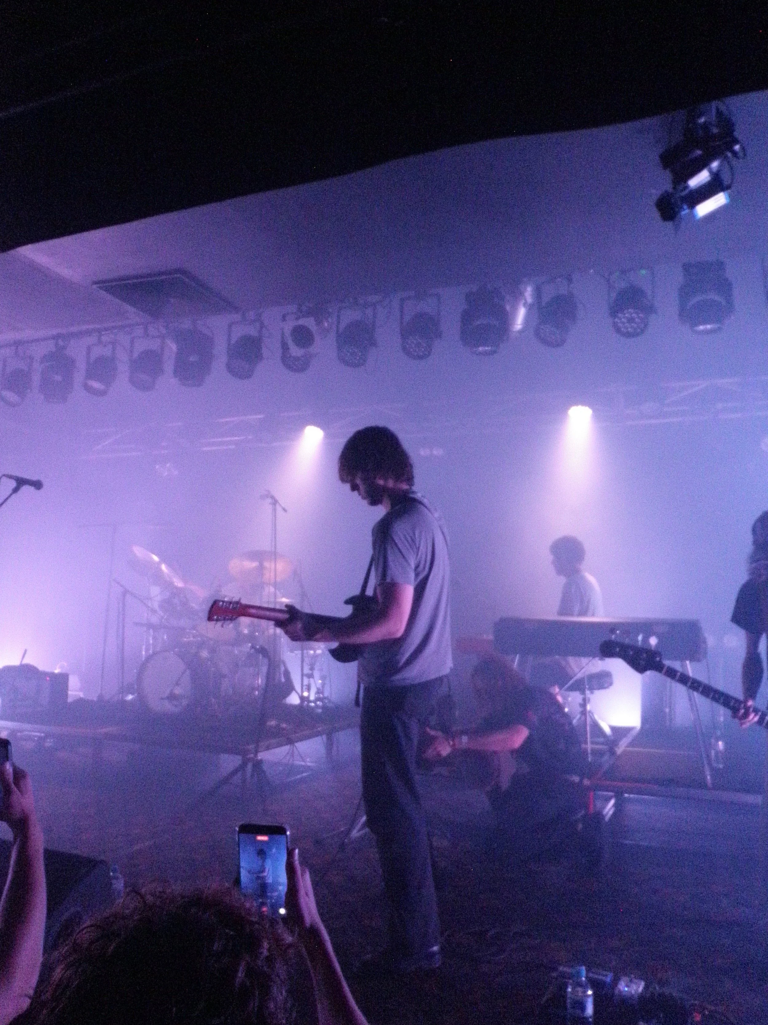 Geese Week (or the cult of Cameron Winter)