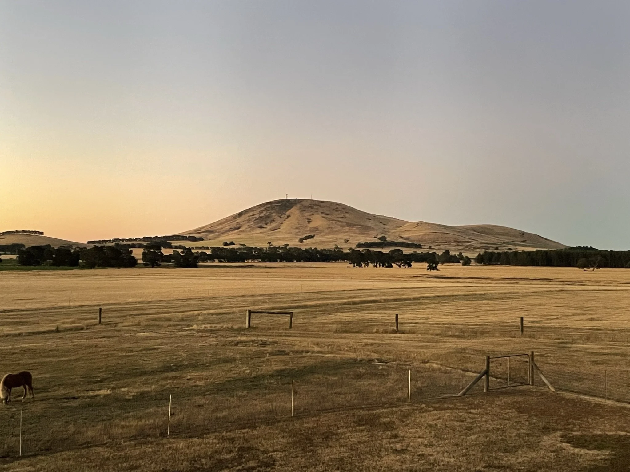 IMG_7166.JPEG