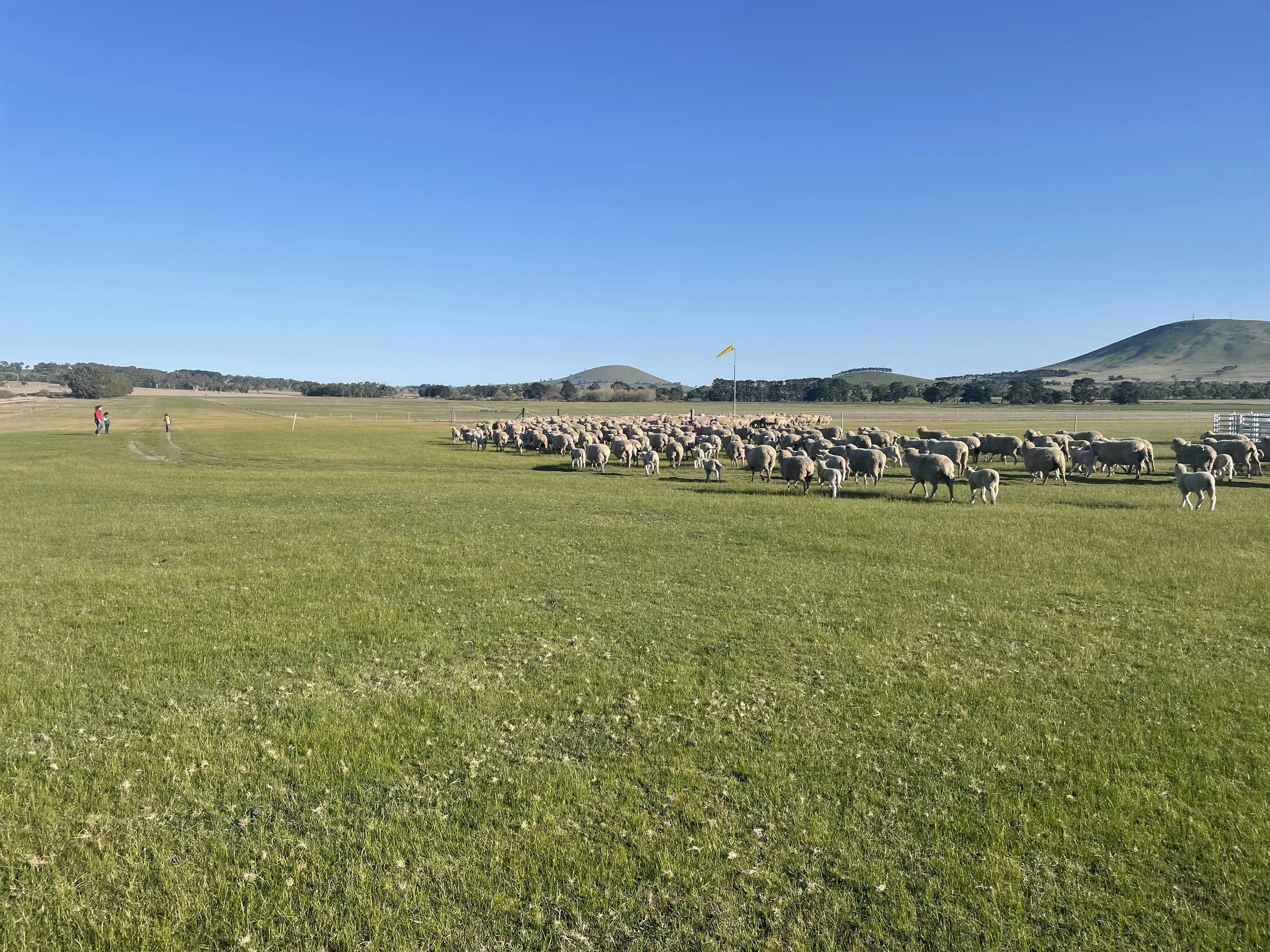 IMG_5885.JPG