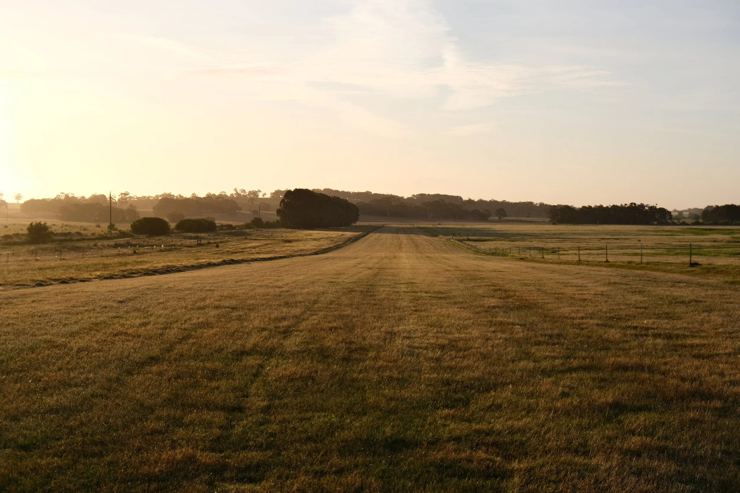 DSCF2245.JPG