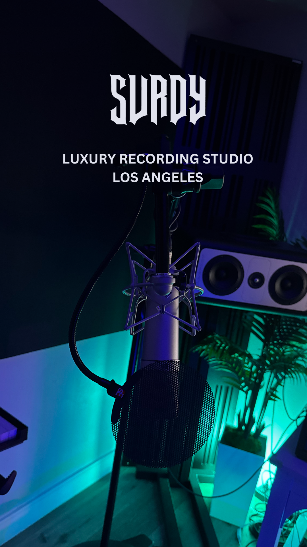 Neumann U87, Neve 1073, and TUBE-TECH CL 1B compose the industry-standard vocal chain at Surdy Luxury Recording Studio Los Angeles, located at Studio 107 of The Williamson and proudly ranked #1 "Best New Recording Studio" in The Valley.