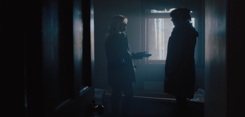 Shetland Series 9