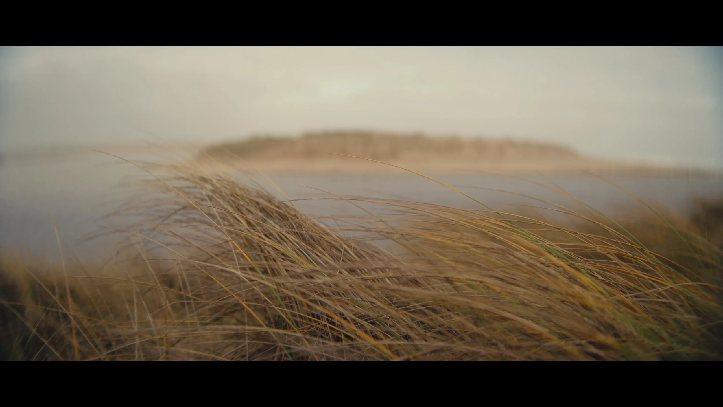 SRUWR1_Finishing not ACES_10_11_31_01.jpg