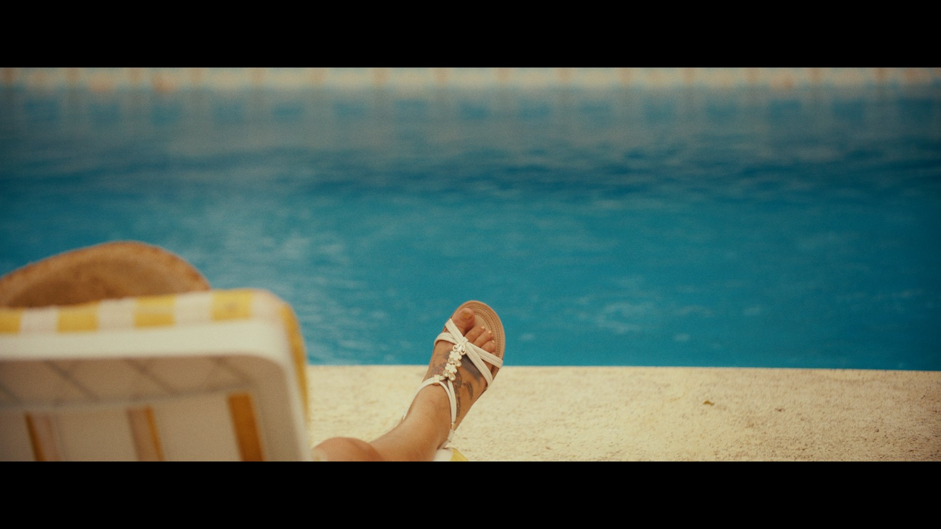 StillPushingPineapples_Still 2025-05-30 140049_2.396.1.jpg