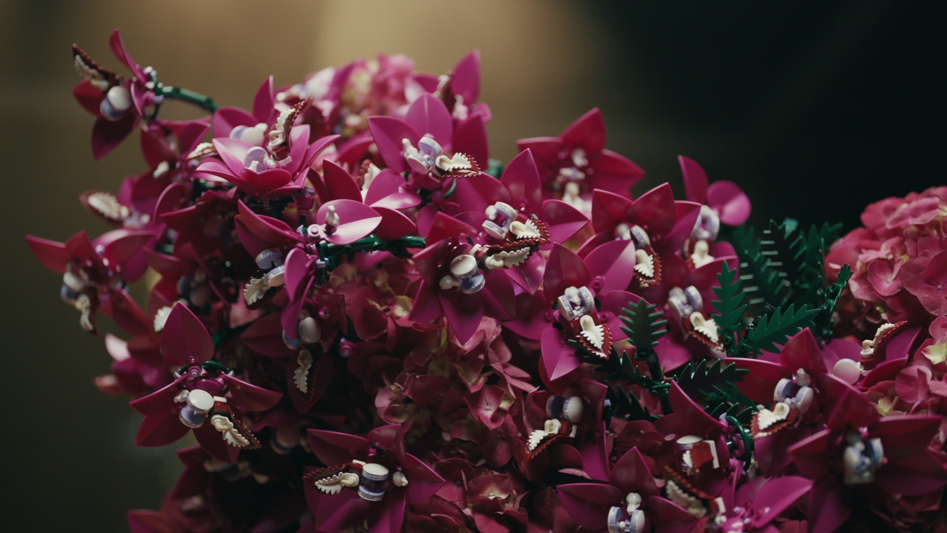 frame_100760.jpg