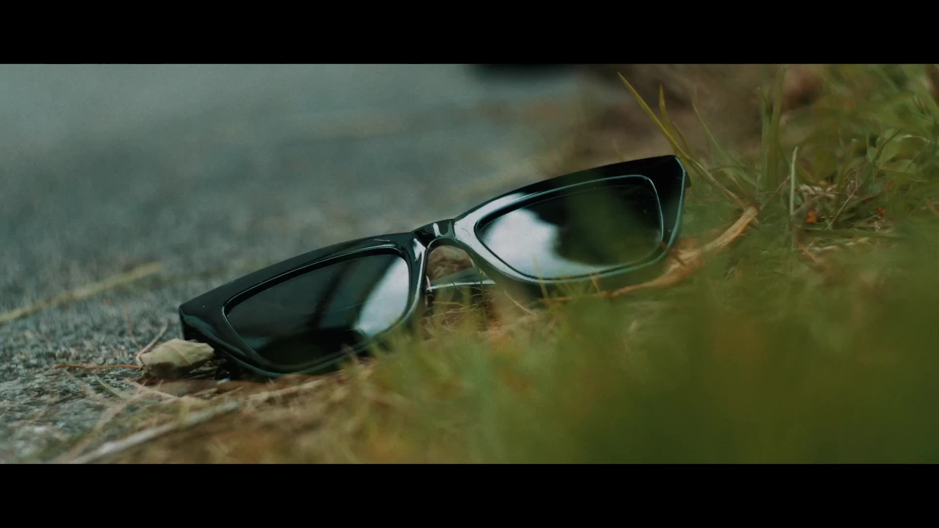 frame_913392.jpg