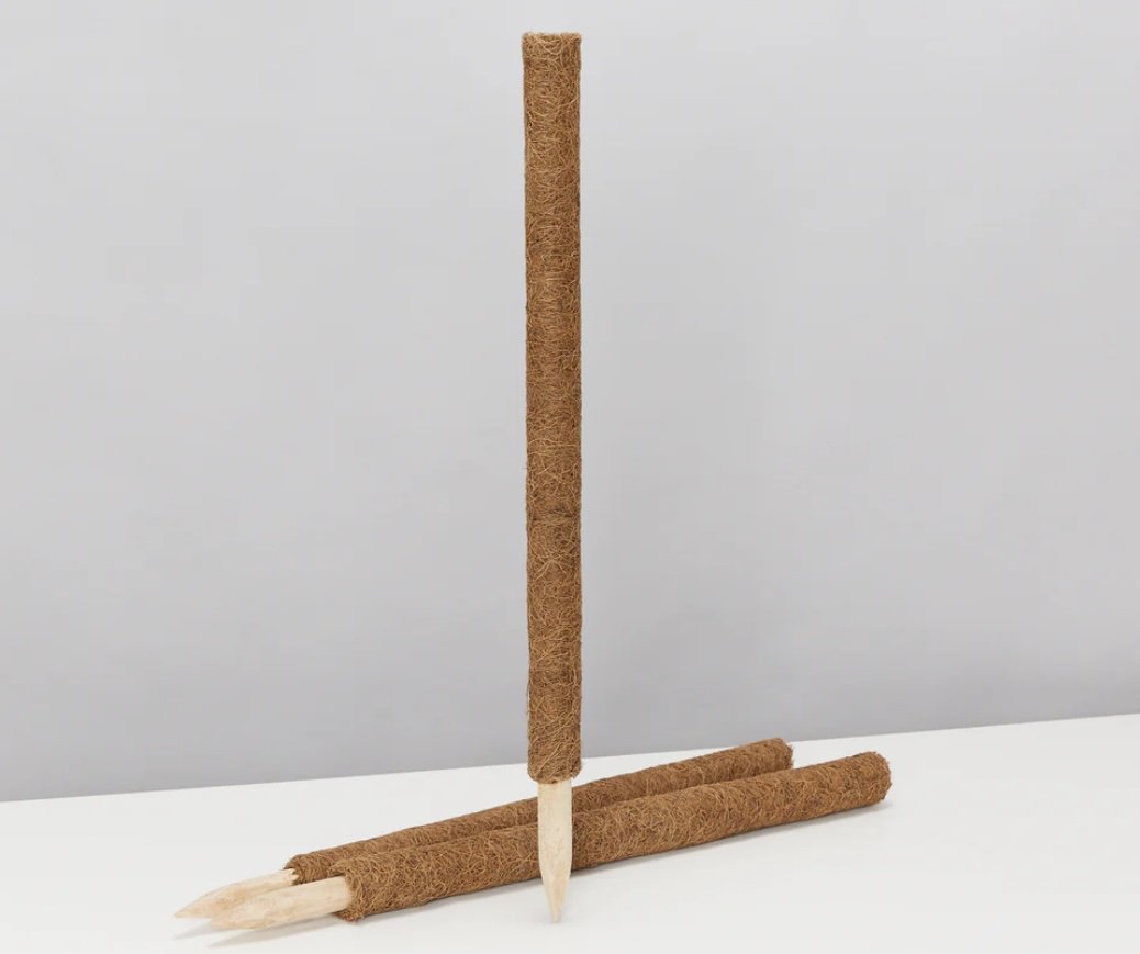 Coco Totem Pole