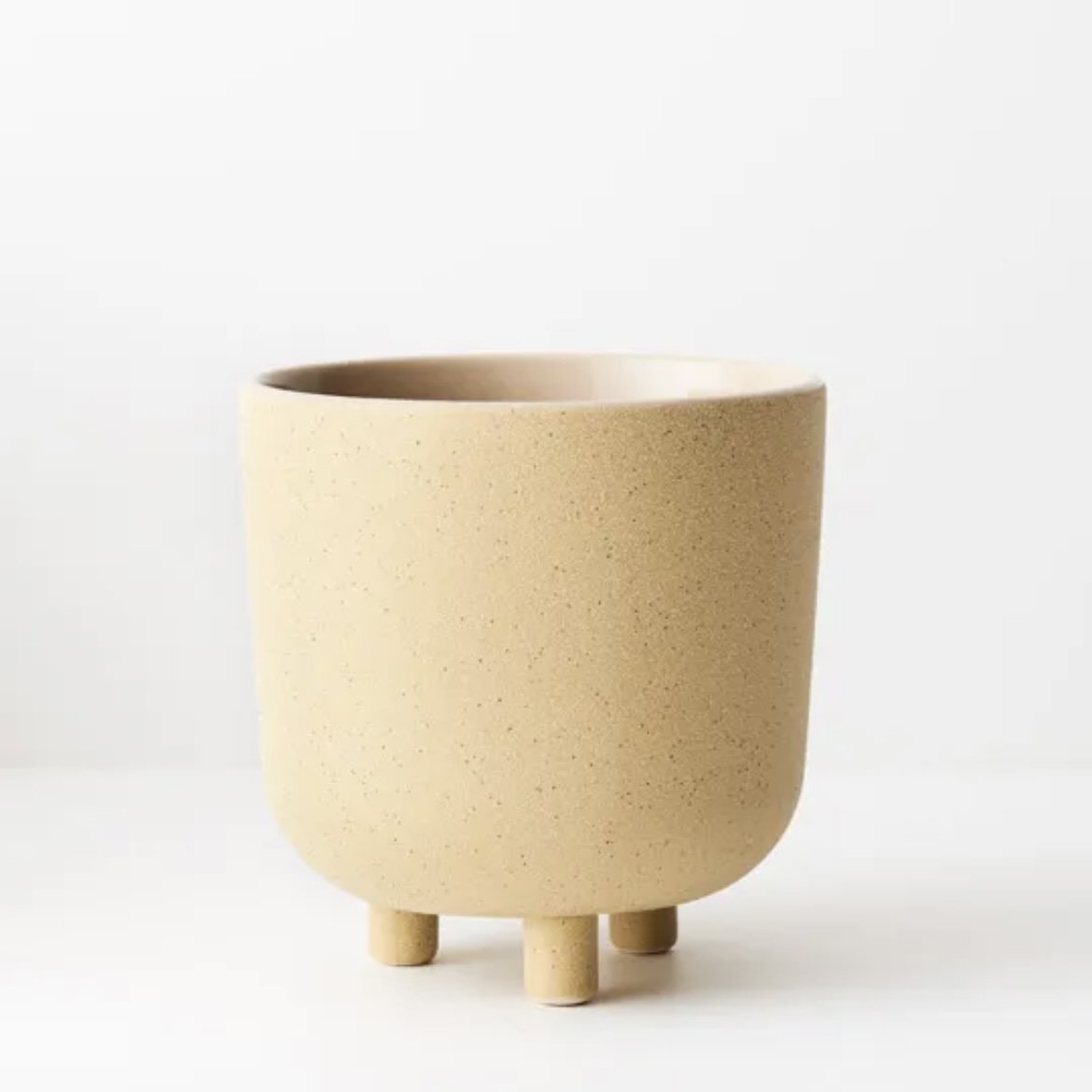 Julitta Planter Mimosa