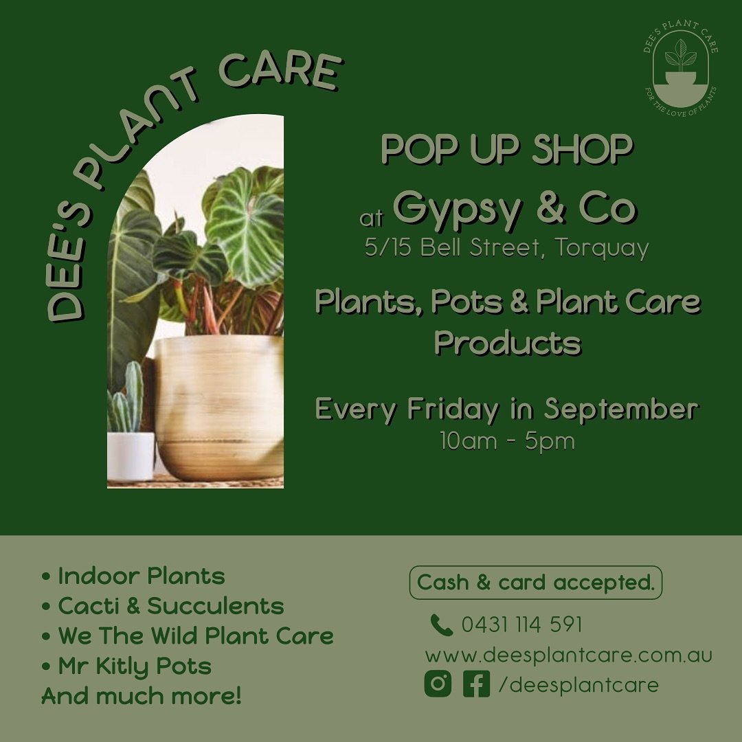 🌱🌵 POP UP SHOP 🌵🌱
I’ve teamed up with Gypsy & Co for the month of September, to bring you ‘Foliage Fridays’! Come say hello and browse a selection of homewares, fashion, plants and more!