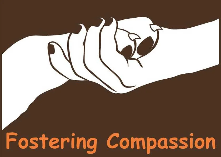 fostering-compassion.jpg
