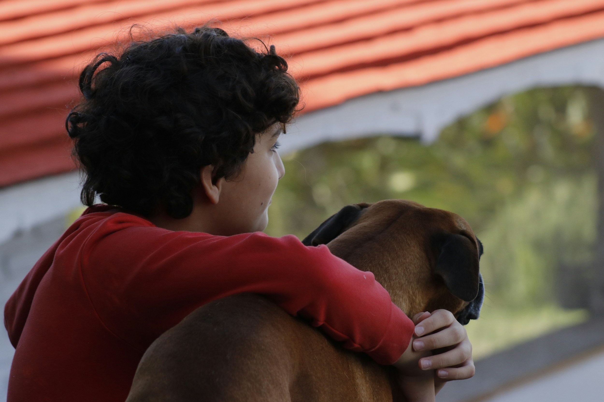 Research Summary: The Impact of Dog Ownership on Adolescent Well-Being via the Microbiome