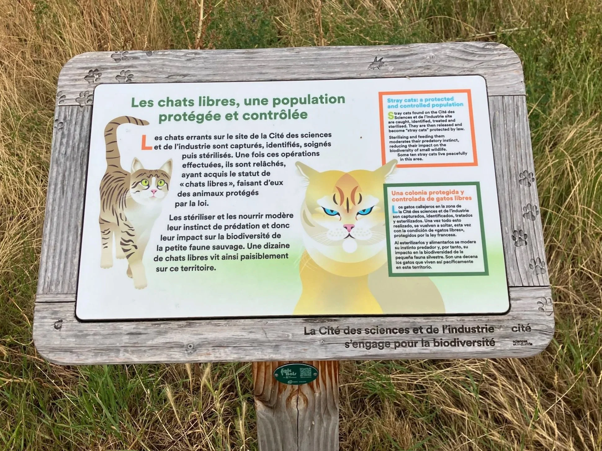 Parisian Cats, Anthrozoology, and Cat Scientists!