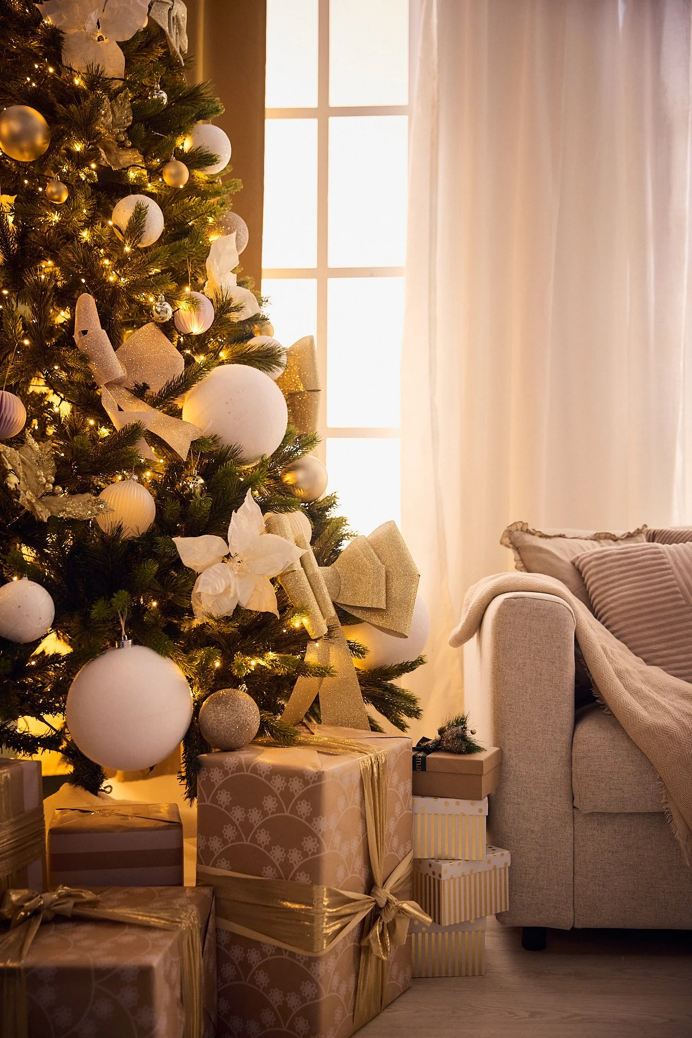 11_07_2024_ChristmasSessions2490.jpg