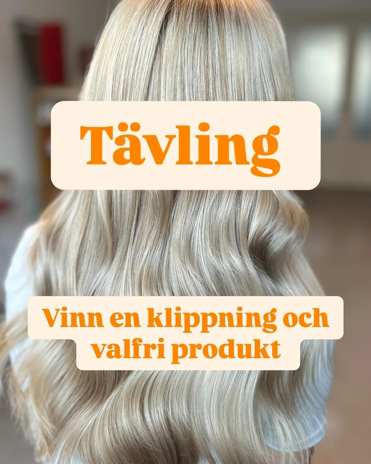 ✂️Vinn en klippning och valfri produkt✂️

Nu har Alice corner varit ig&aring;ng i fem m&aring;nader och f&ouml;r att fira detta vill jag ge n&aring;got tillbaka till er!🌟

F&ouml;r att delta i t&auml;vlingen beh&ouml;ver du:
&bull;F&ouml;lja mig @al