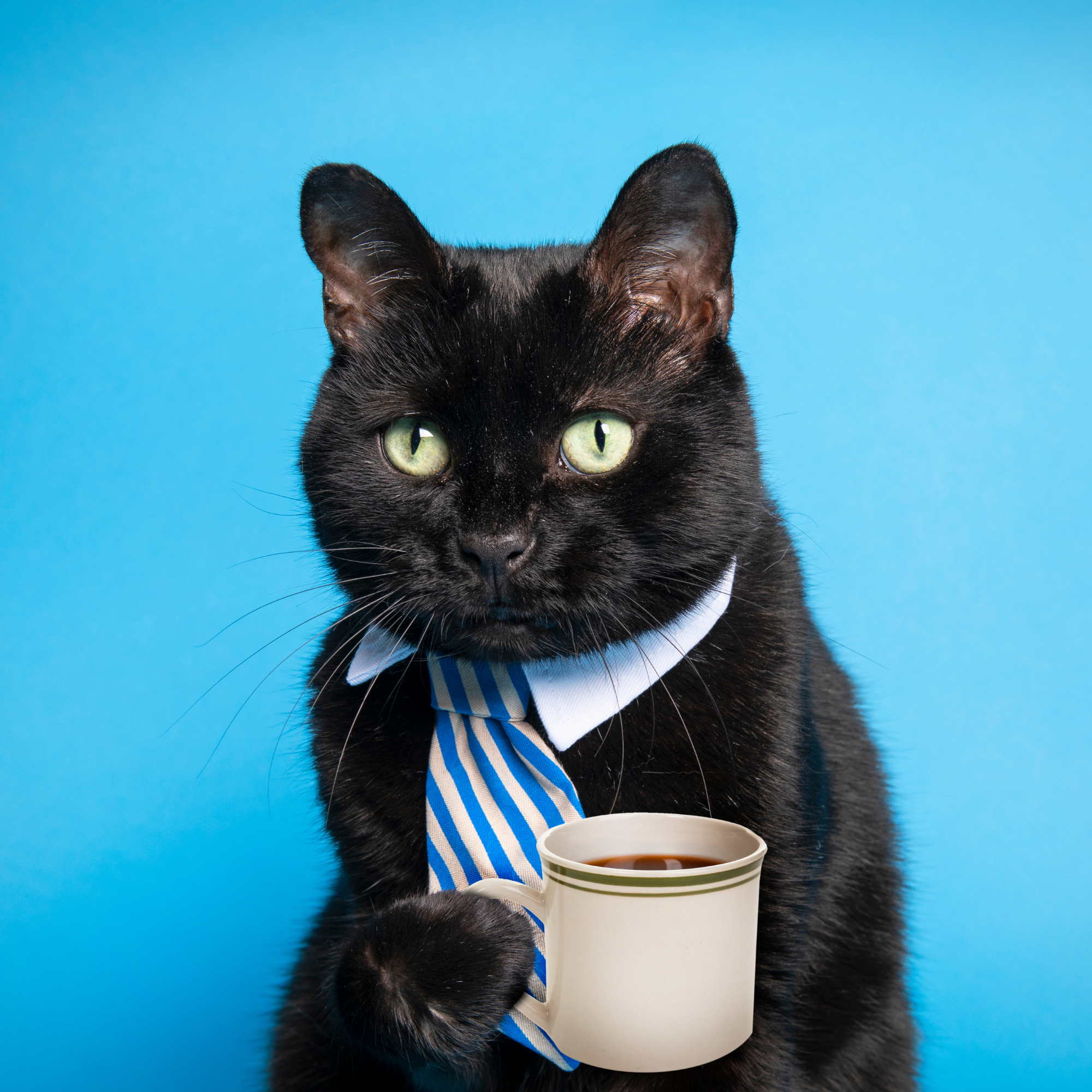 Publier plus de contenu ne vous aidera pas à vendre…