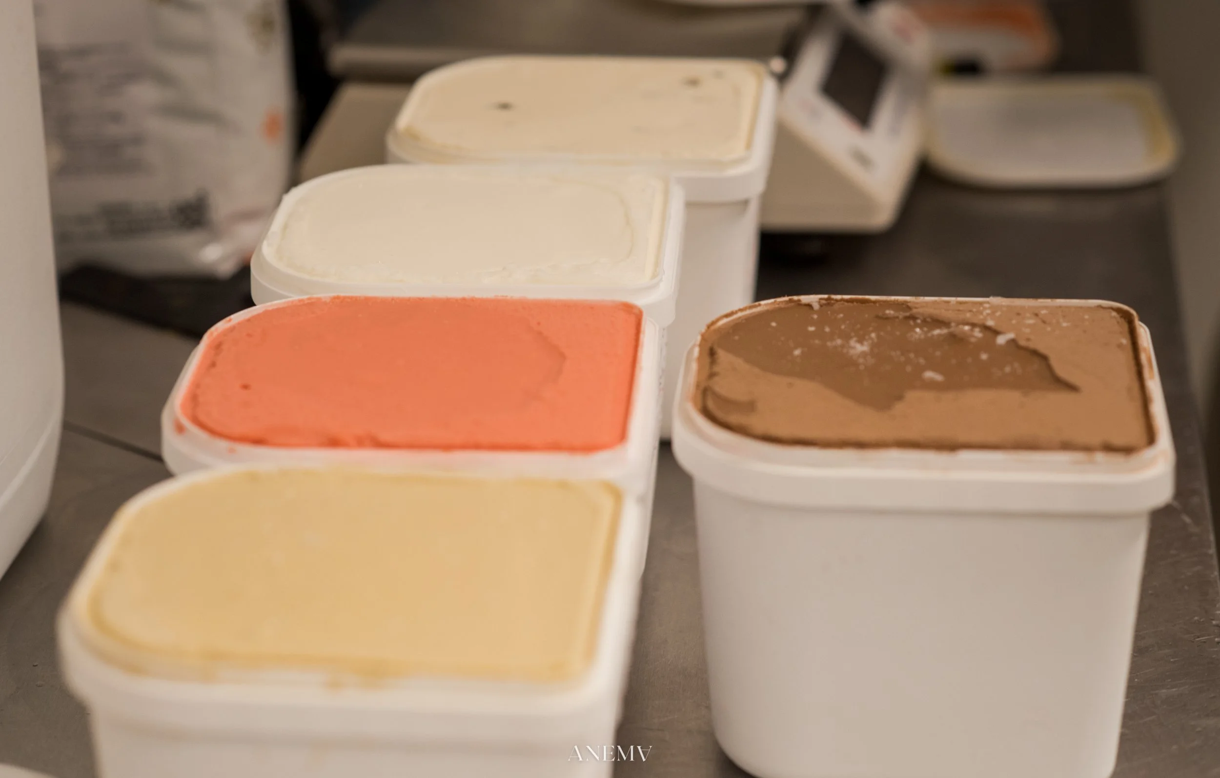 Bac de glaces pour les professionnels