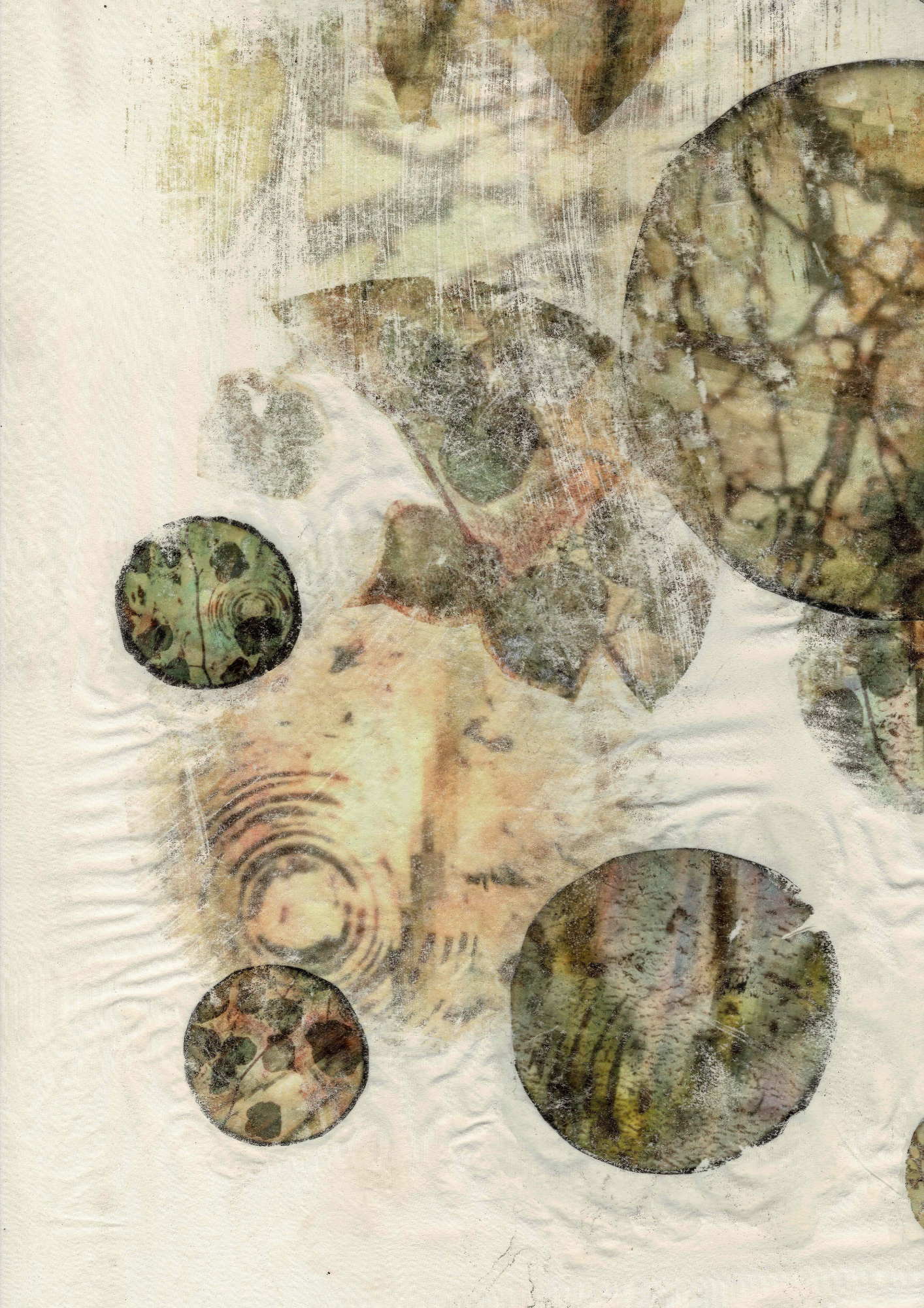 Print on Fabric by Dawn Kelso