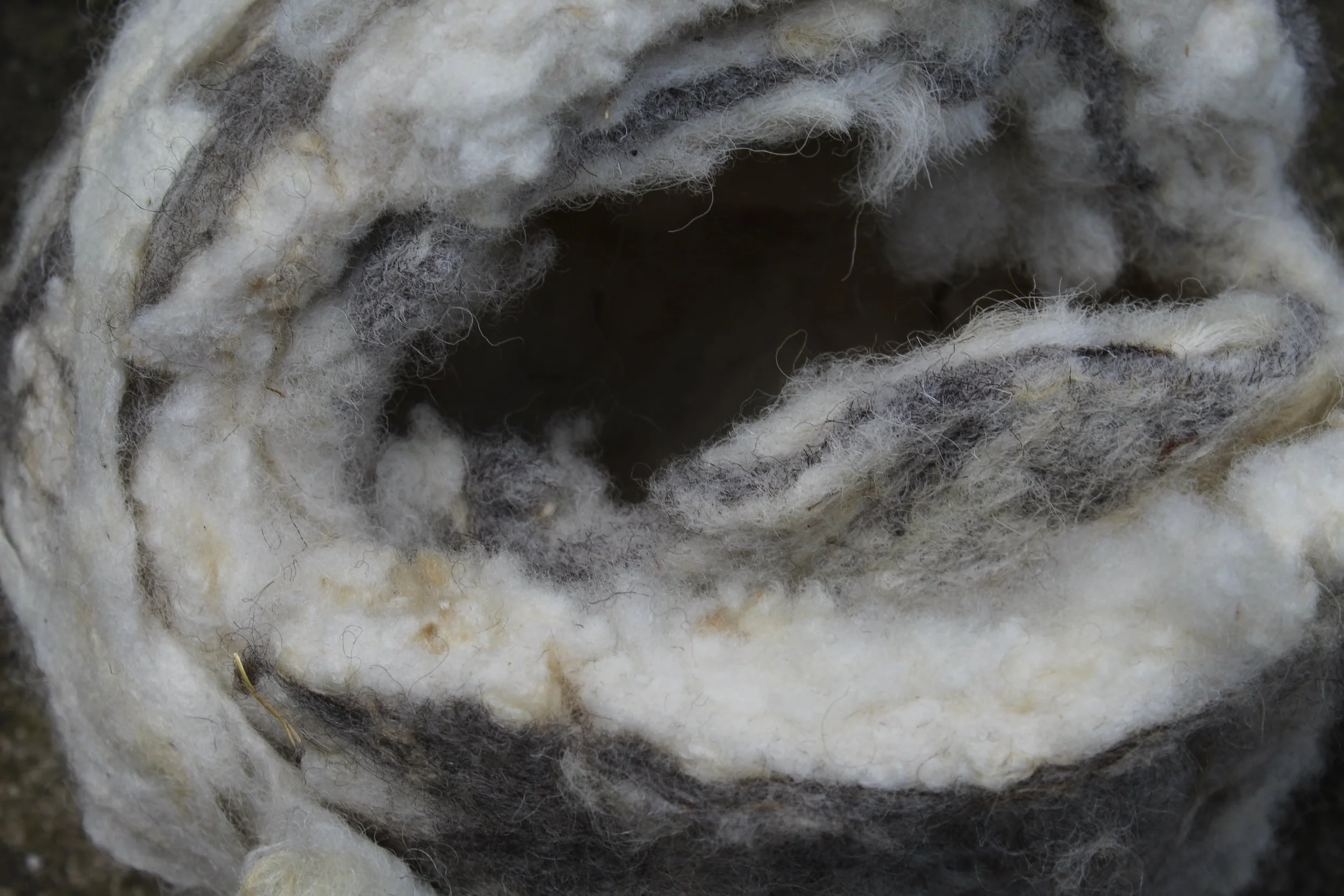 Wool Embroidery by Annie Donaldson