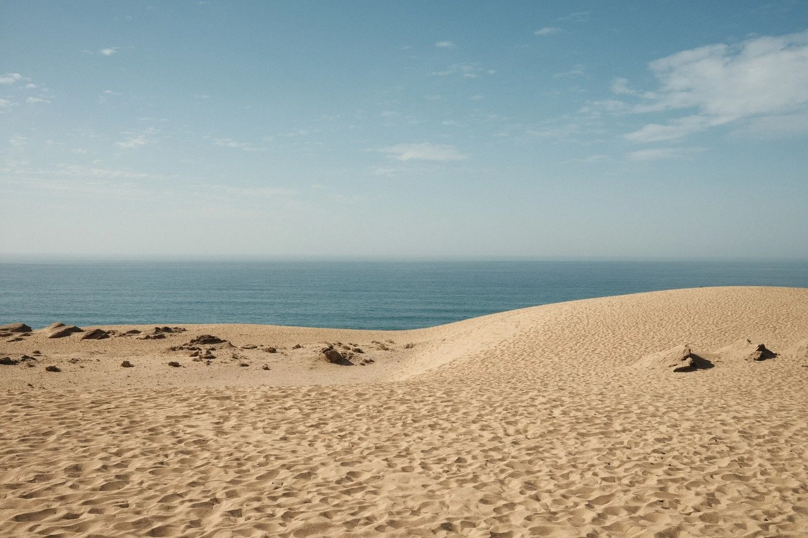 WhatsApp Image 2026-04-17 at 20.09.57.jpeg