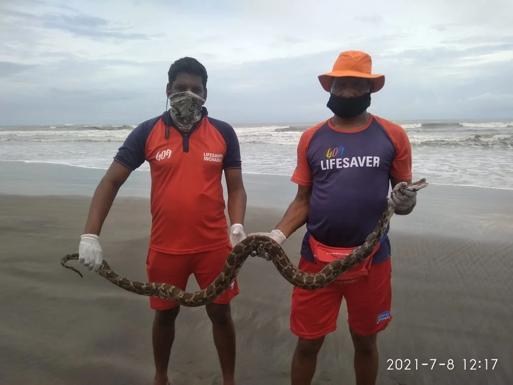 IMG-20210708-WA0041 - Prathamesh Mahale.jpg